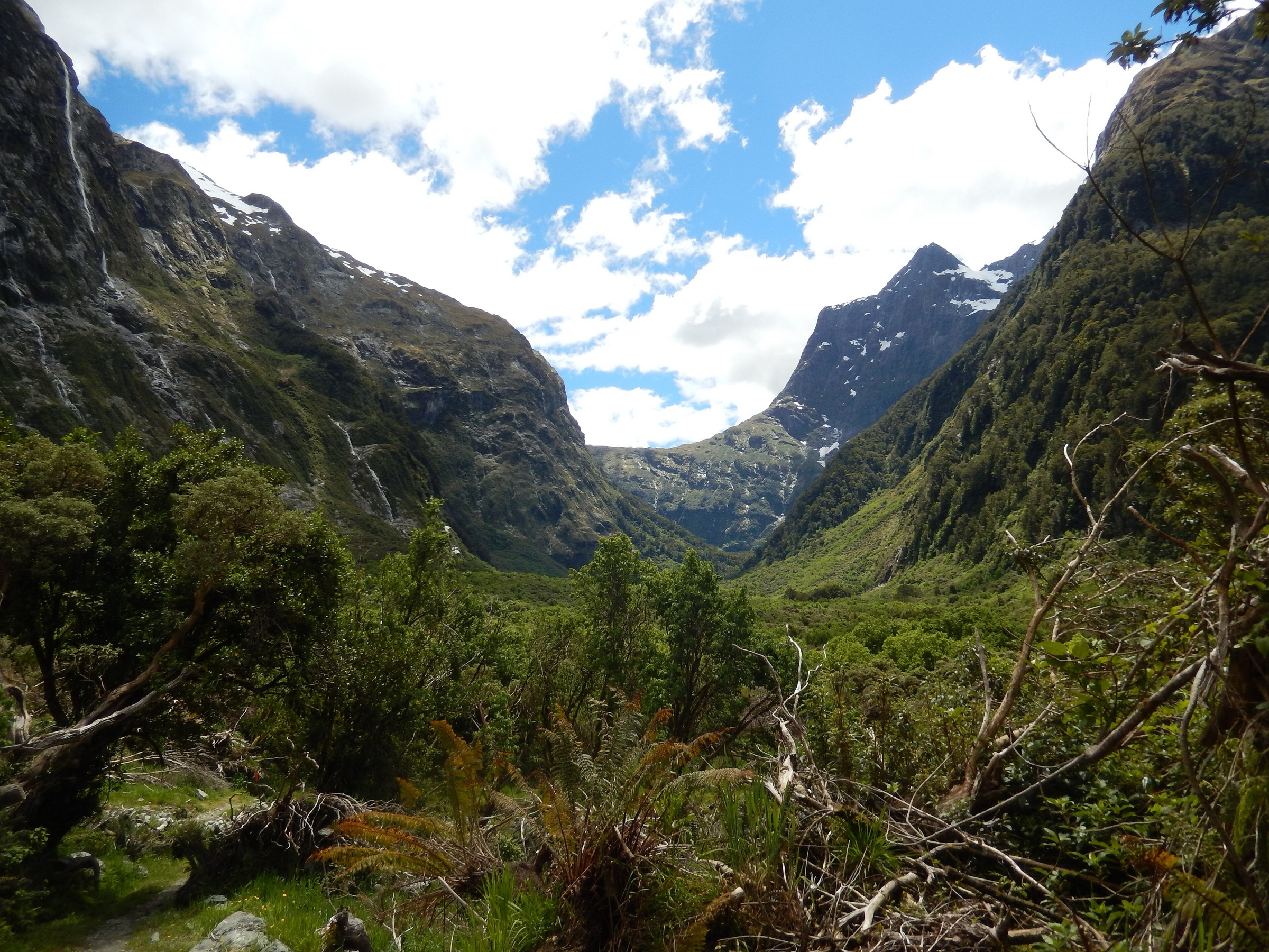 Omanui/McKinnon Pass on the Milford Track, the high point of the route