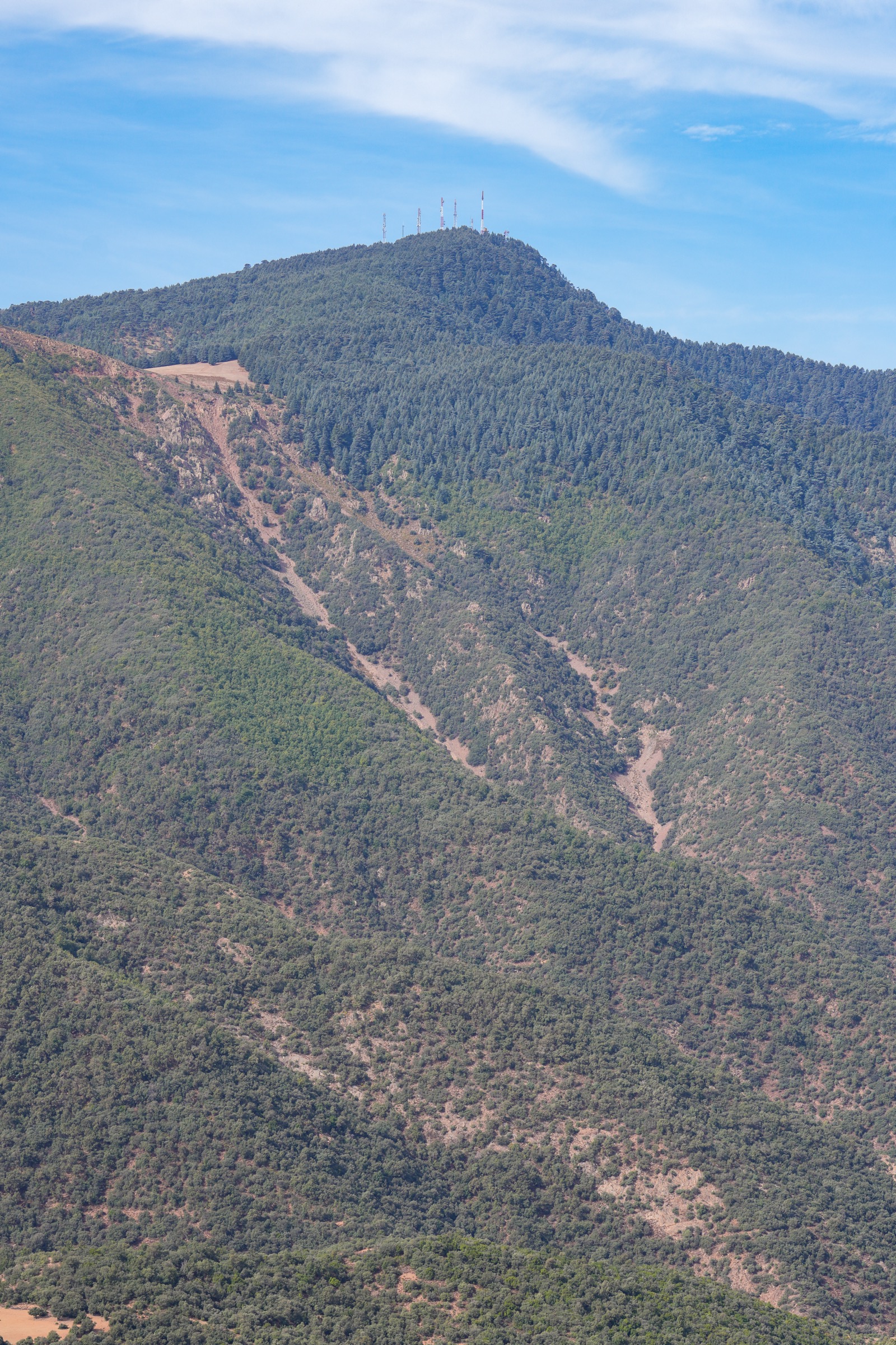 Southeast face of Jbel Tazekka with evergreen oak and Atlas cedar, Middle Atlas