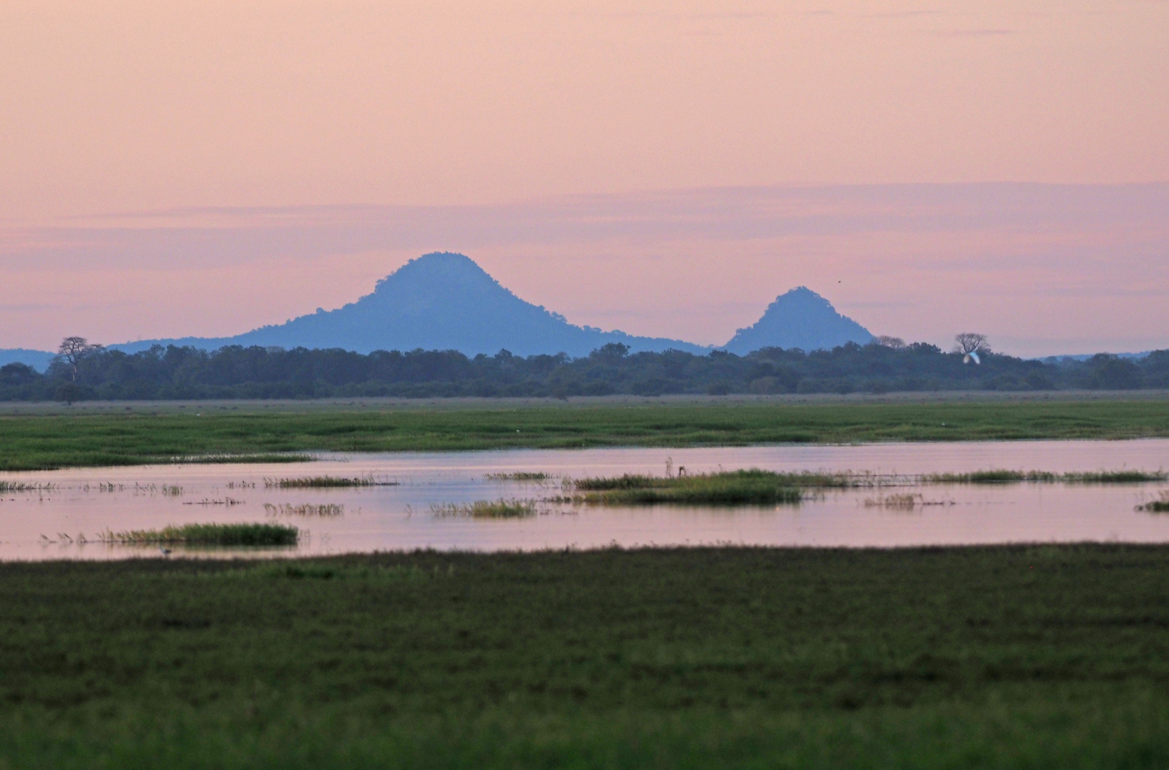 Mozambique — Eastern Highlands: Gorongosa Massif