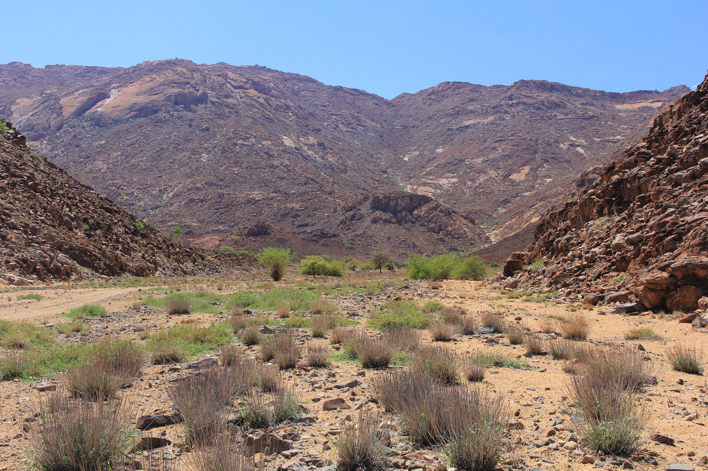 Amis Gorge in the Brandberg Massif, Namibia