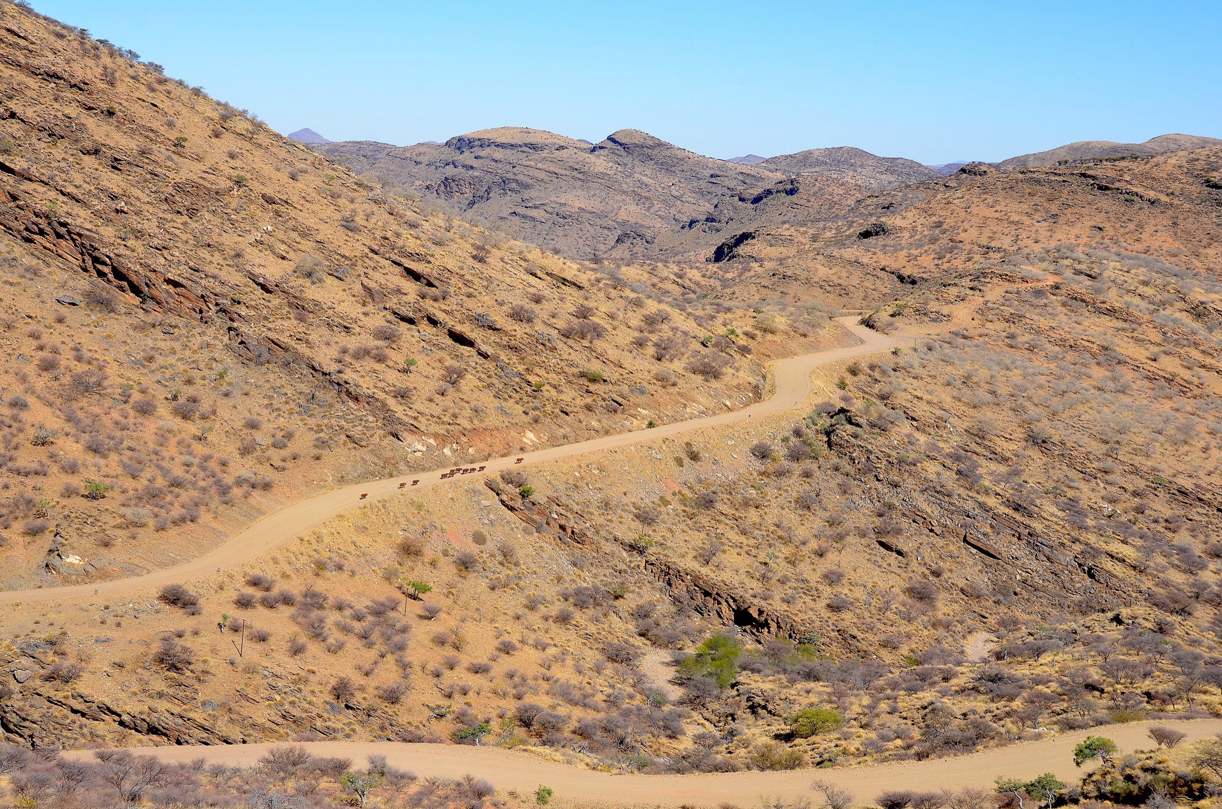 Road C26 climbing over the Gamsberg Pass in the Khomas Hochland, Namibia
