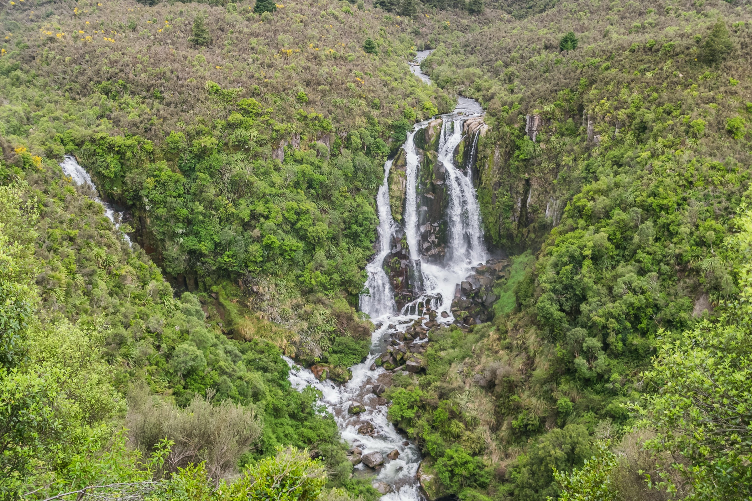 New Zealand — Central Ahimanawa: research note
