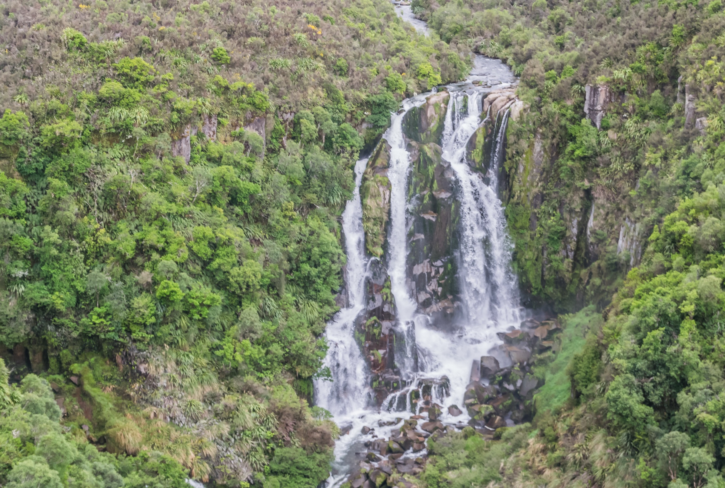 New Zealand — Southern Ahimanawa: essential day-hikes