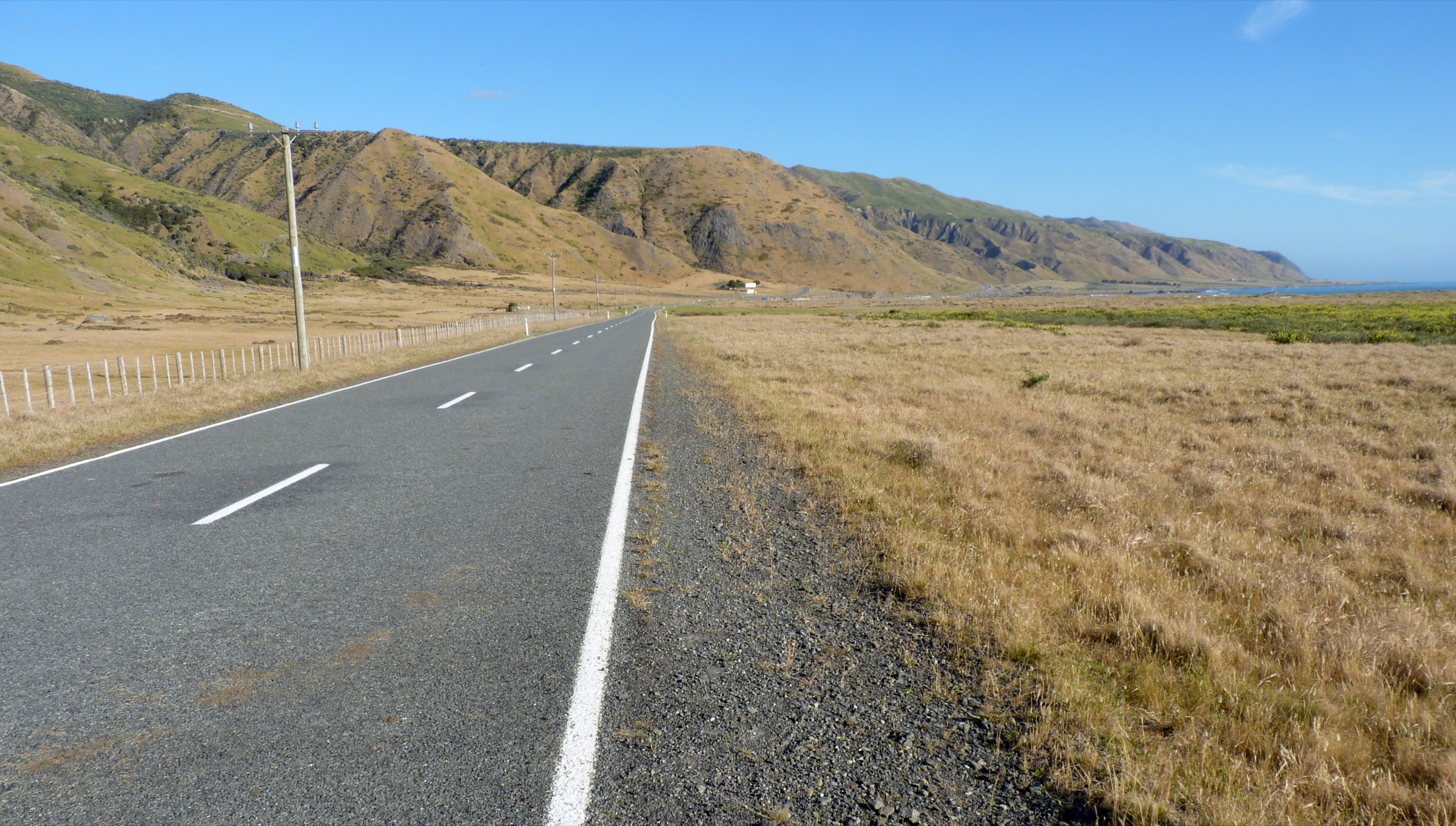 Forested ridge and stream country inside Aorangi Forest Park on the western side of the range
