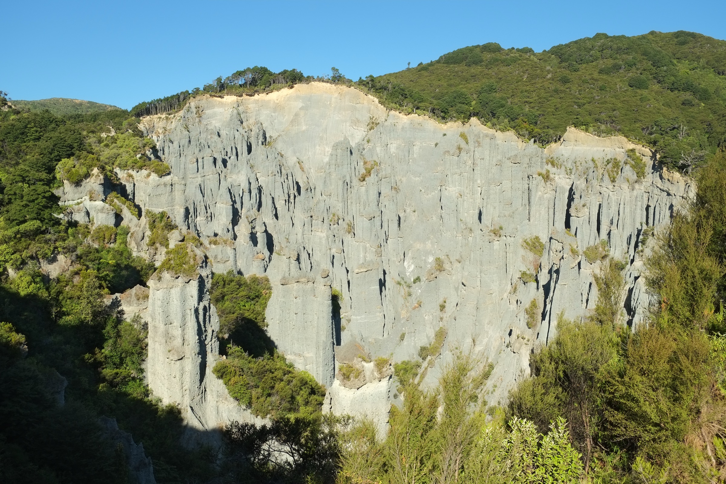 New Zealand — Aorangi Range / Southern Aorangi Coast day-hikes