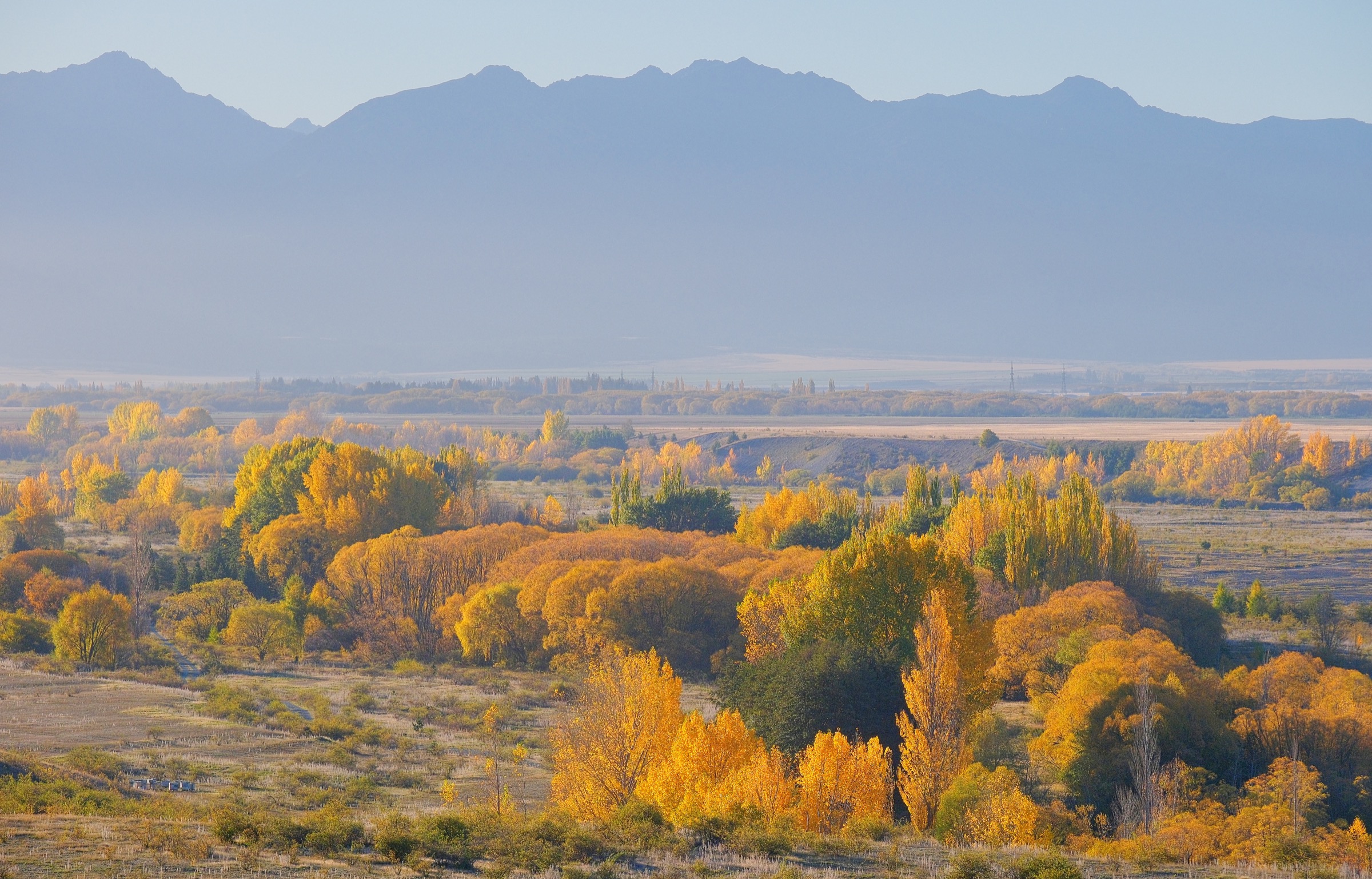 Autumn colours along the Ohau River with the Ben Ohau Range behind
