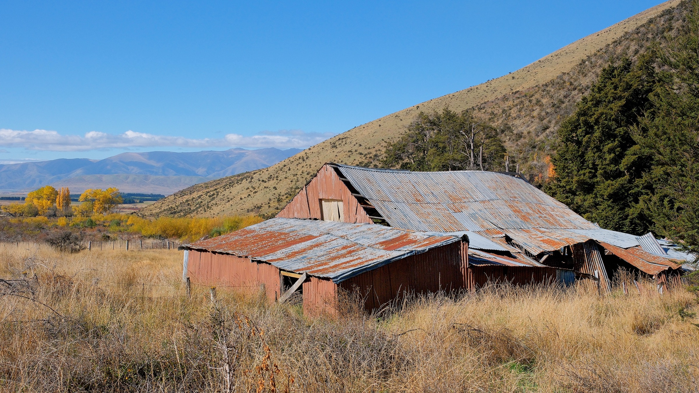 Derelict Quailburn woolshed, the endpoint of the A2O Section 4 walk