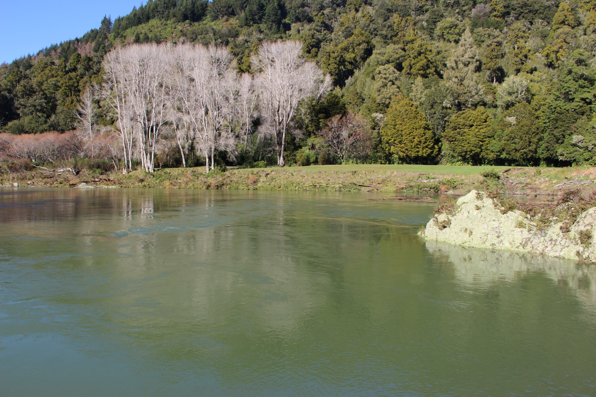 Pelorus River in the Pelorus Bridge Scenic Reserve, upstream of the Elvy tributary