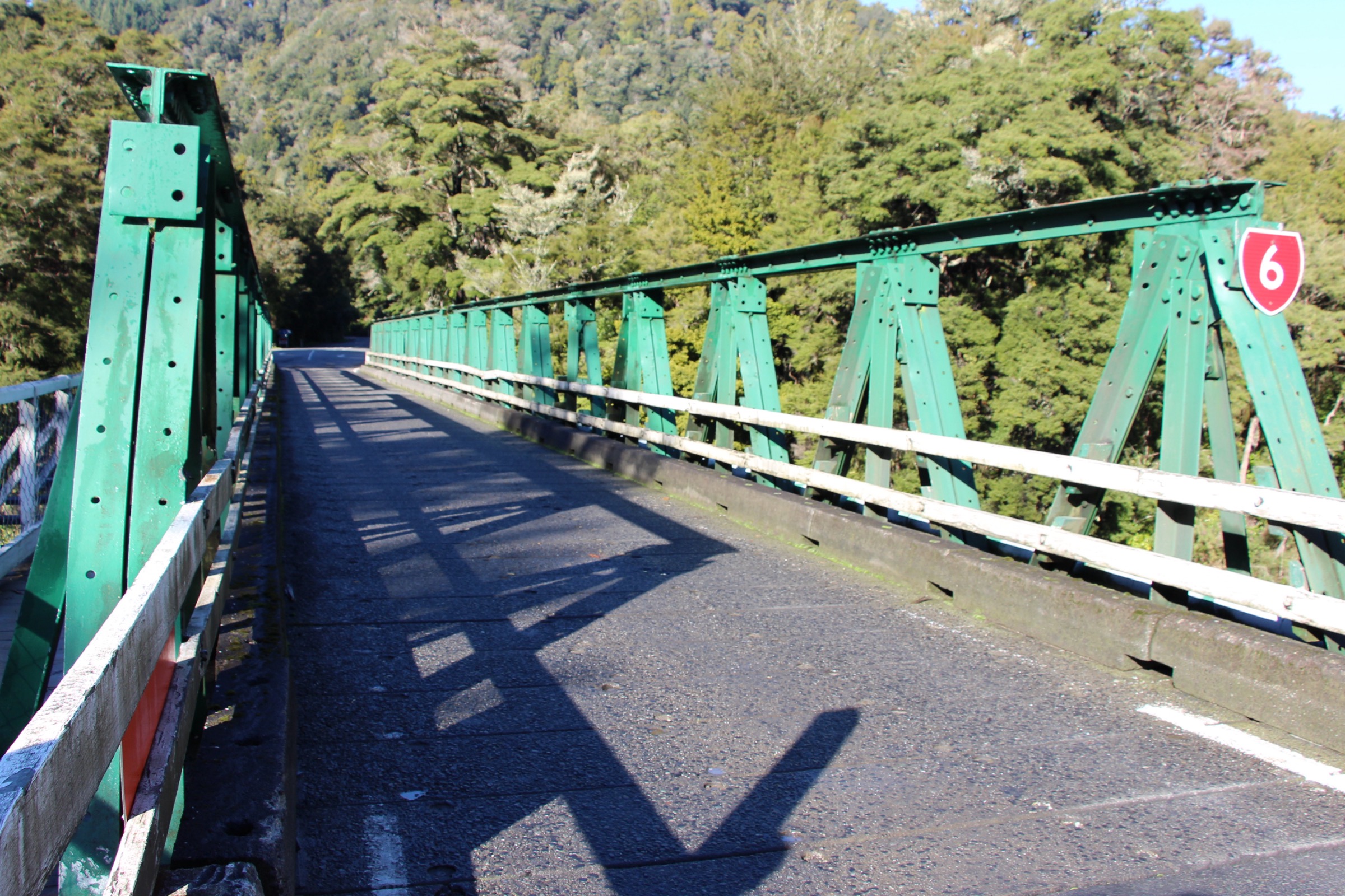 Tall podocarp and tawa forest inside Pelorus Bridge Scenic Reserve