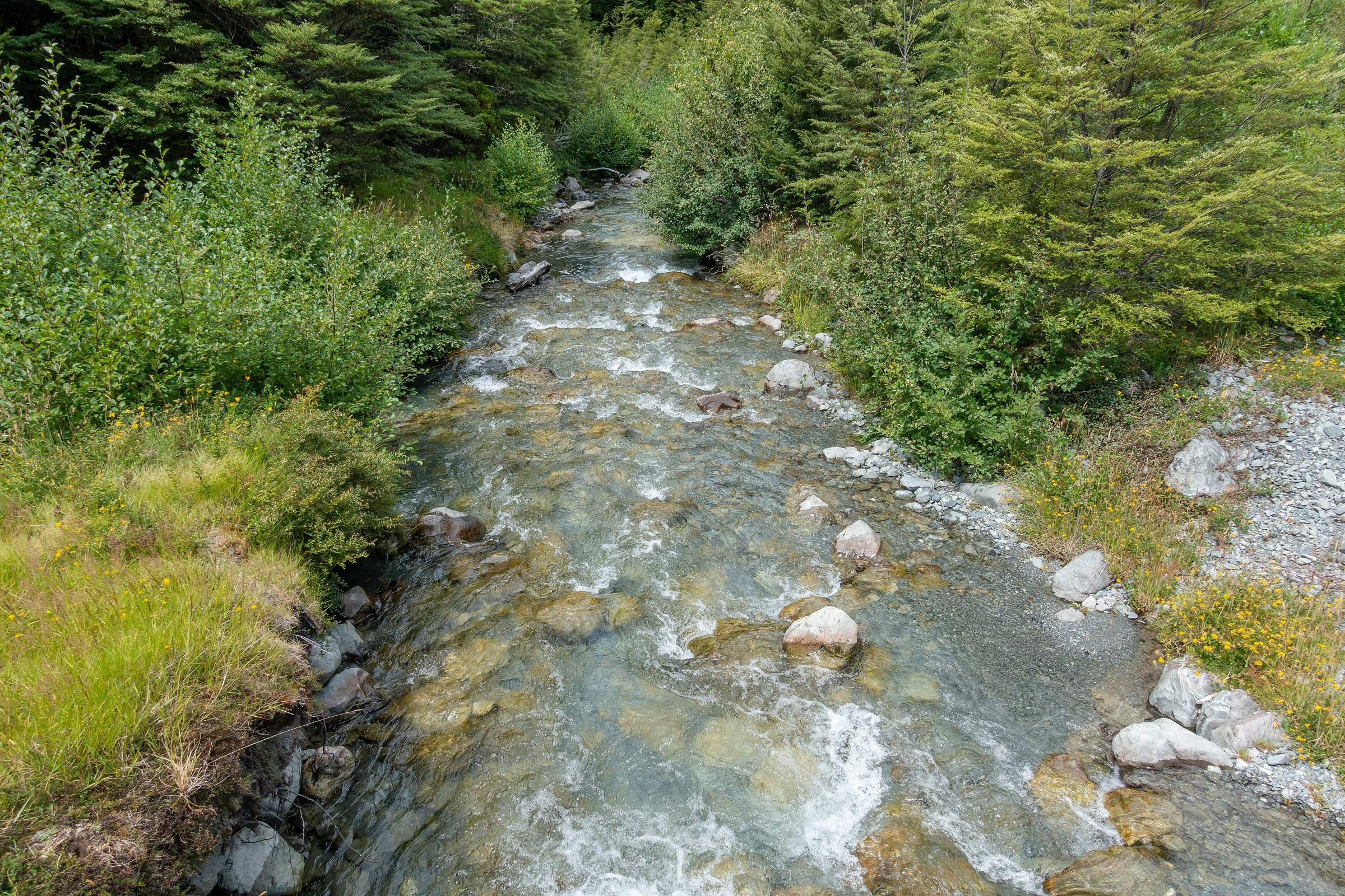 Broken River seen from the Dracophyllum Flat Track in the Craigieburn Range