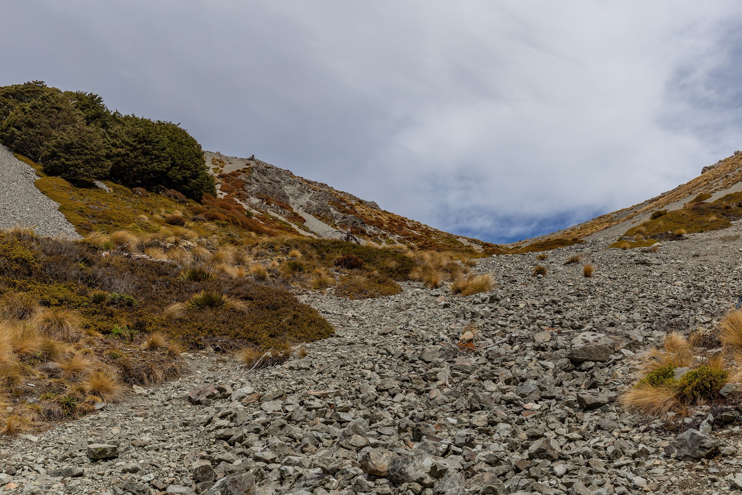 Camp Saddle, Craigieburn Range