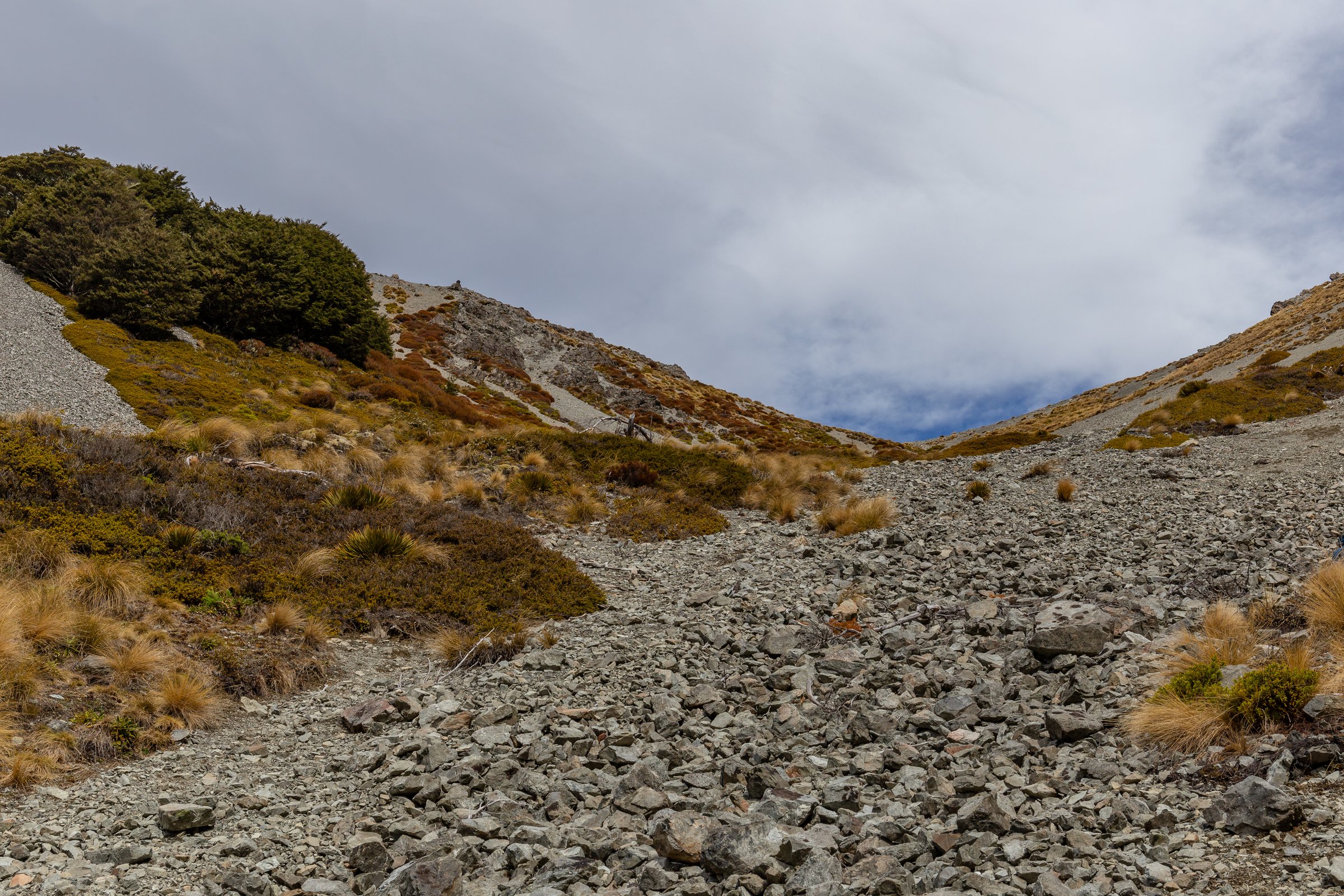 Camp Saddle, Craigieburn Range