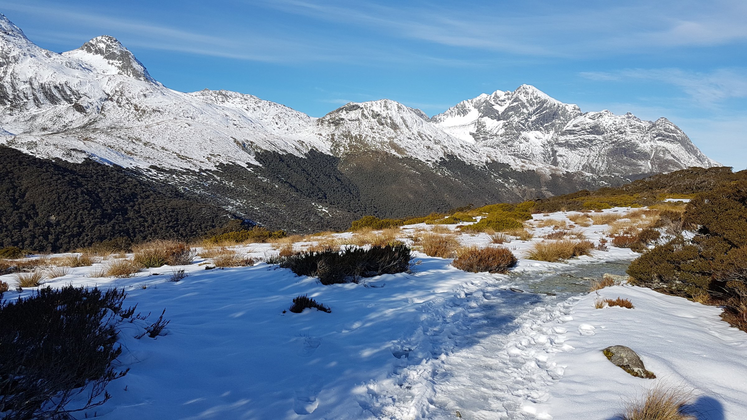 View from Key Summit over the Hollyford and Darran Mountains