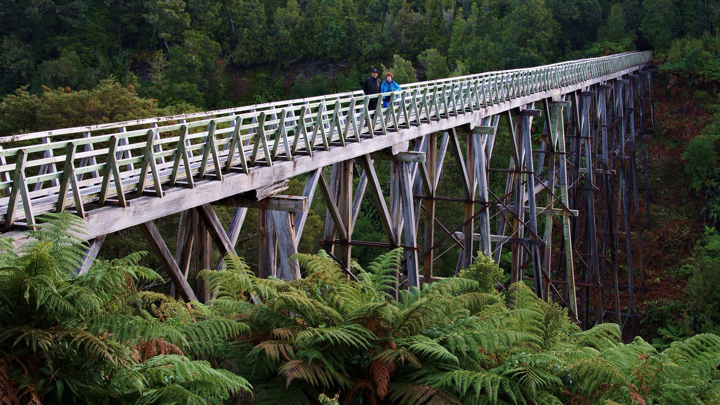 Percy Burn Viaduct on the old Port Craig logging tramway