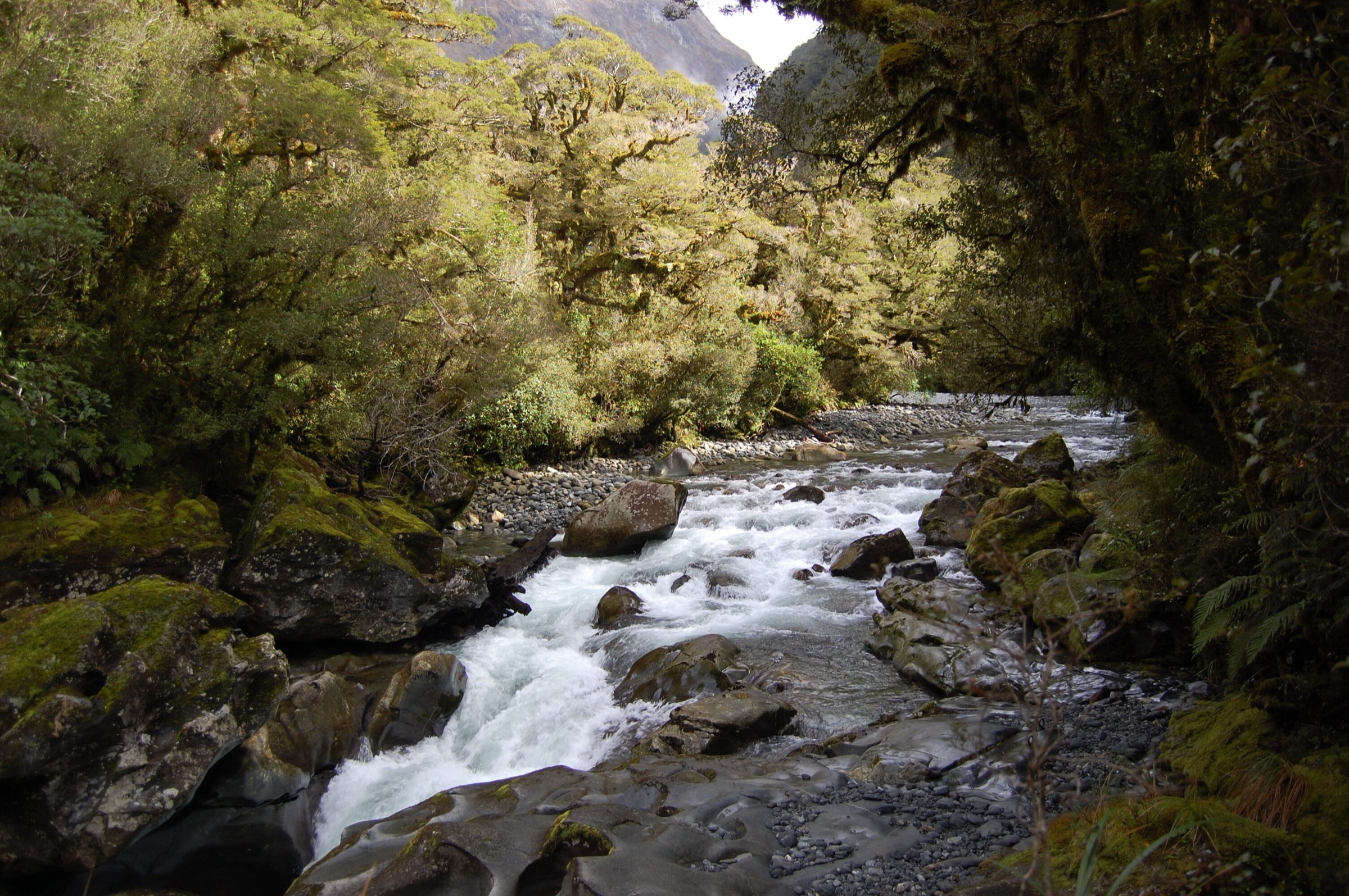 The Chasm on the Cleddau River, Fiordland National Park