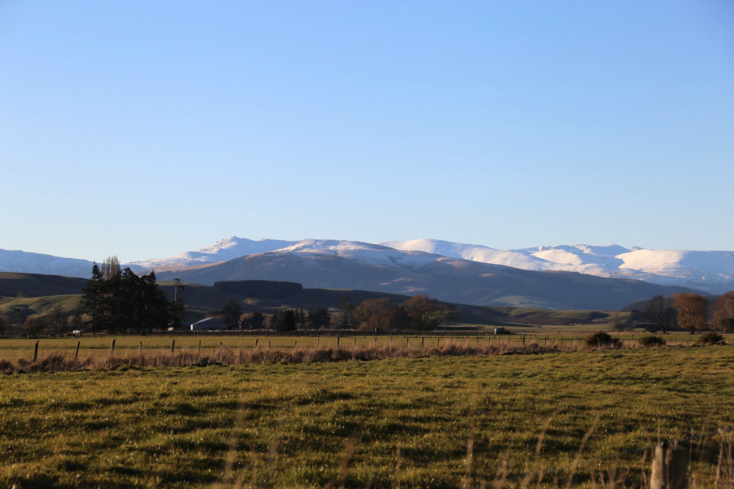 New Zealand — Garvie Mountains, Waikaia Forest and Welcome Rock