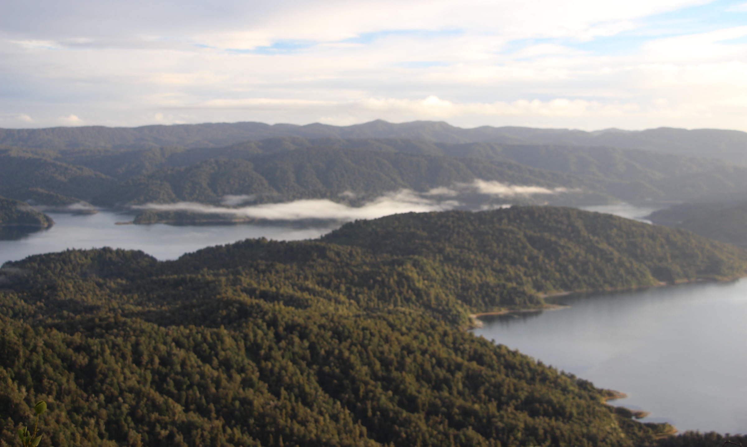 Lake-shore section of the Lake Waikaremoana Great Walk near Waiopaoa