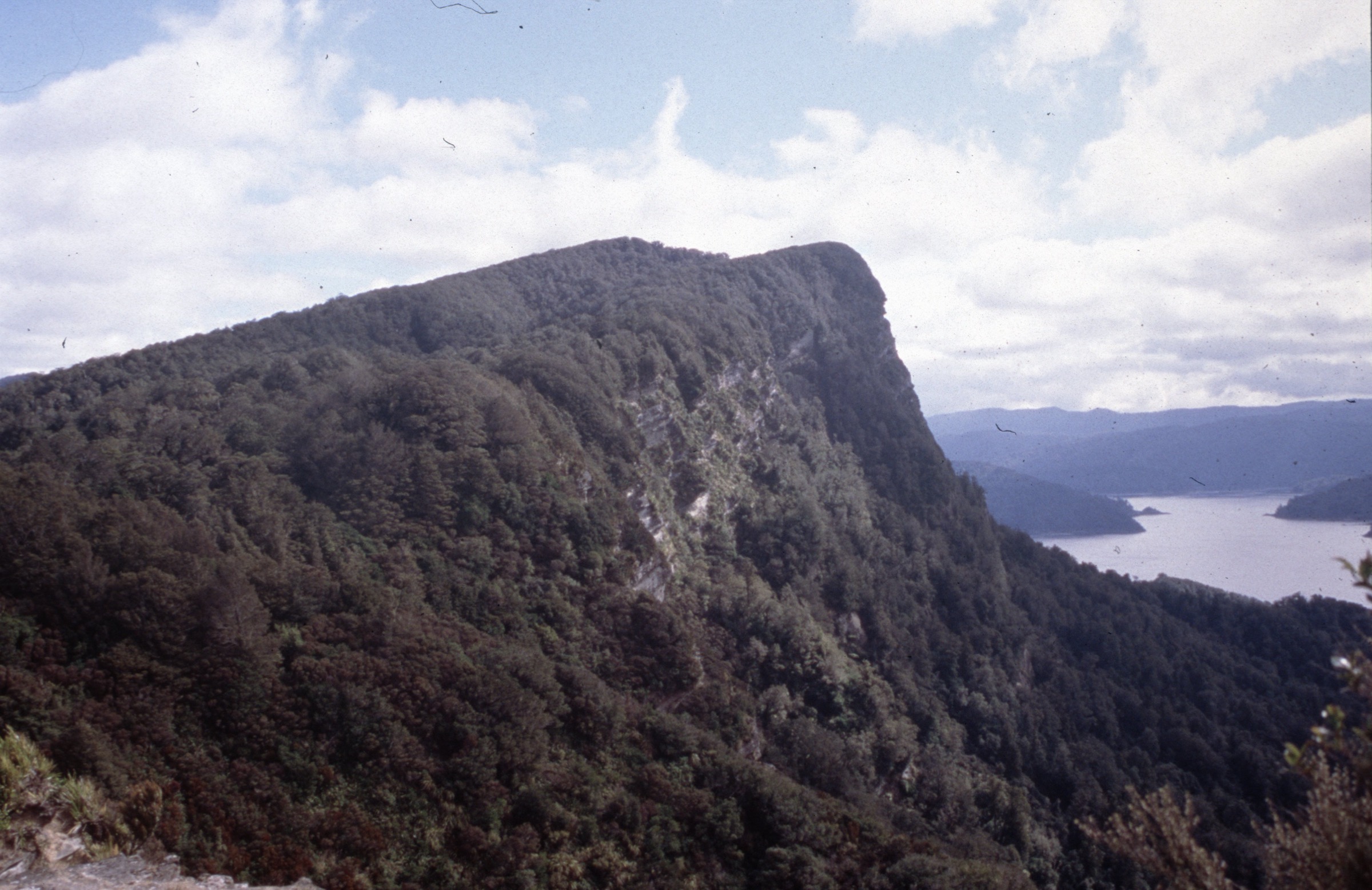 Panekire Bluffs above Lake Waikaremoana from the Onepoto Great Walk ridge
