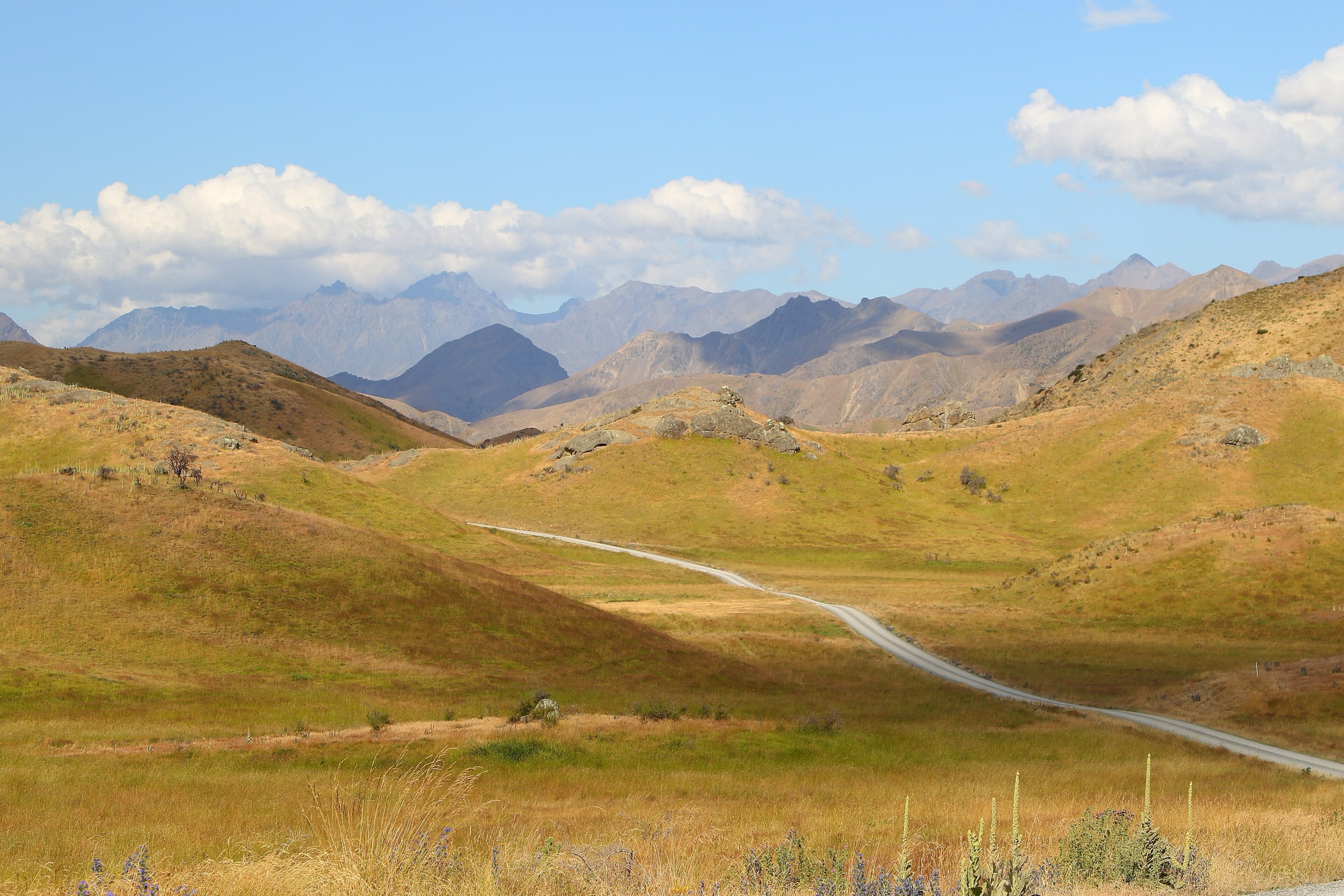 New Zealand — Clarence Valley Sector: essential day-hikes