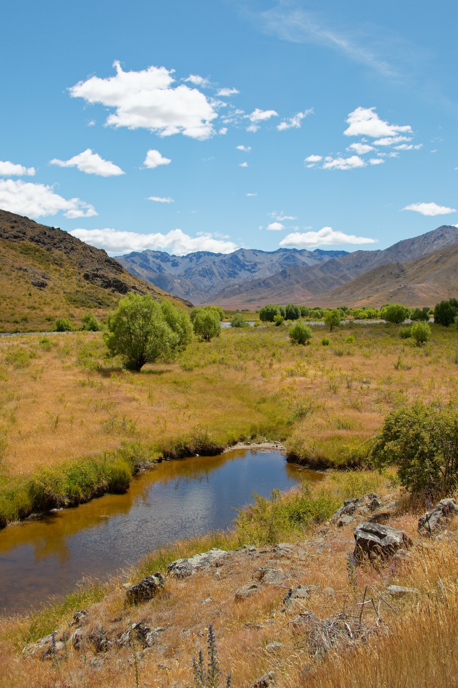 Molesworth Severn River and view toward the Raglan Range, near the Mount Chisholm walking area, New Zealand