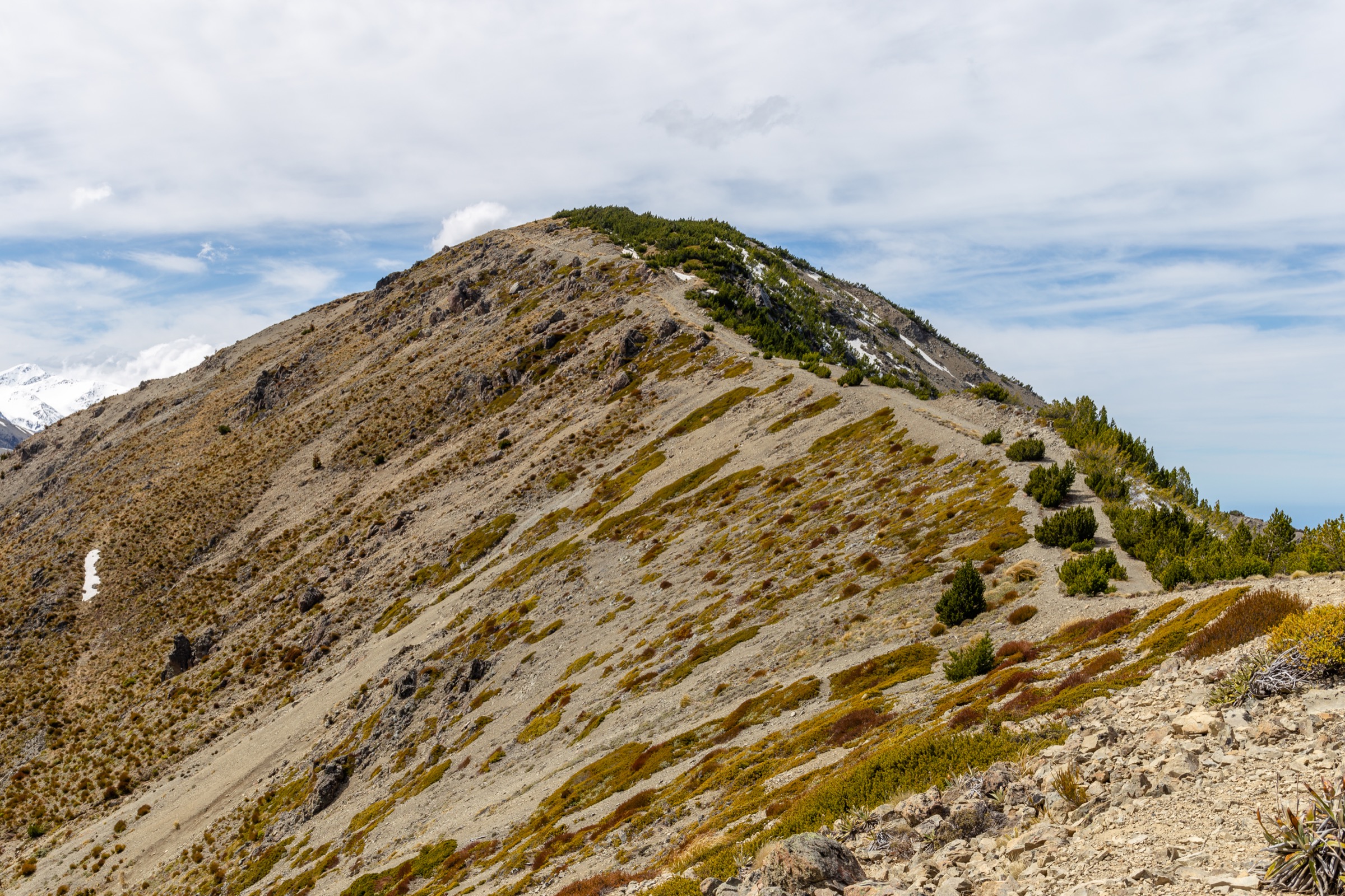 New Zealand — Seaward Kaikōura Range: essential day-hikes