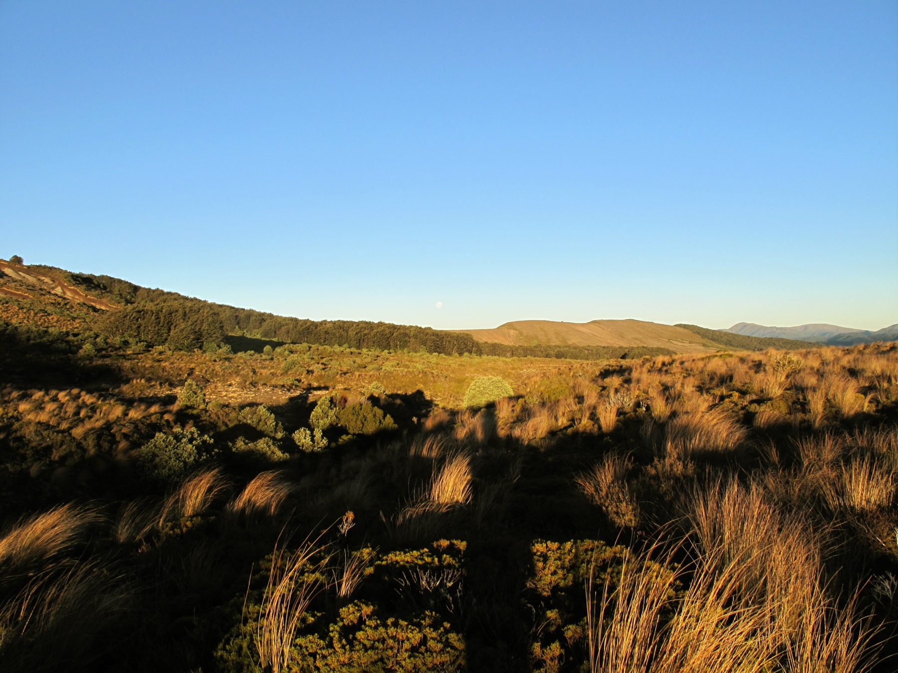 Sunset over the Kaimanawa Range