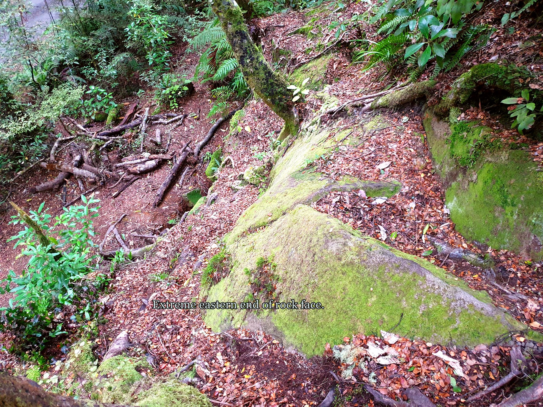 Eastern end of the Kaimanawa Wall rock formation on Clements Mill Road