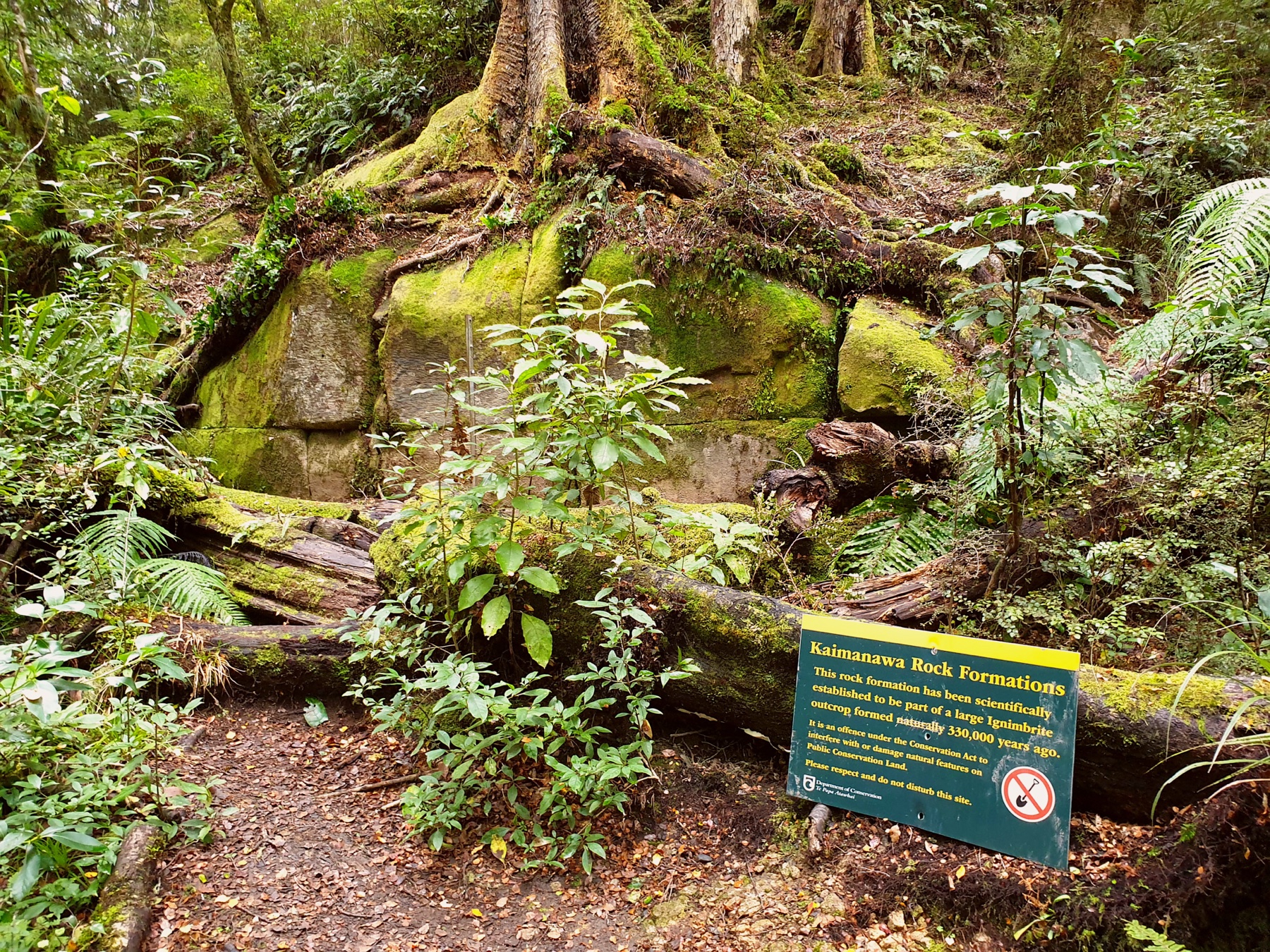 Wide view of the Kaimanawa Wall rock formation