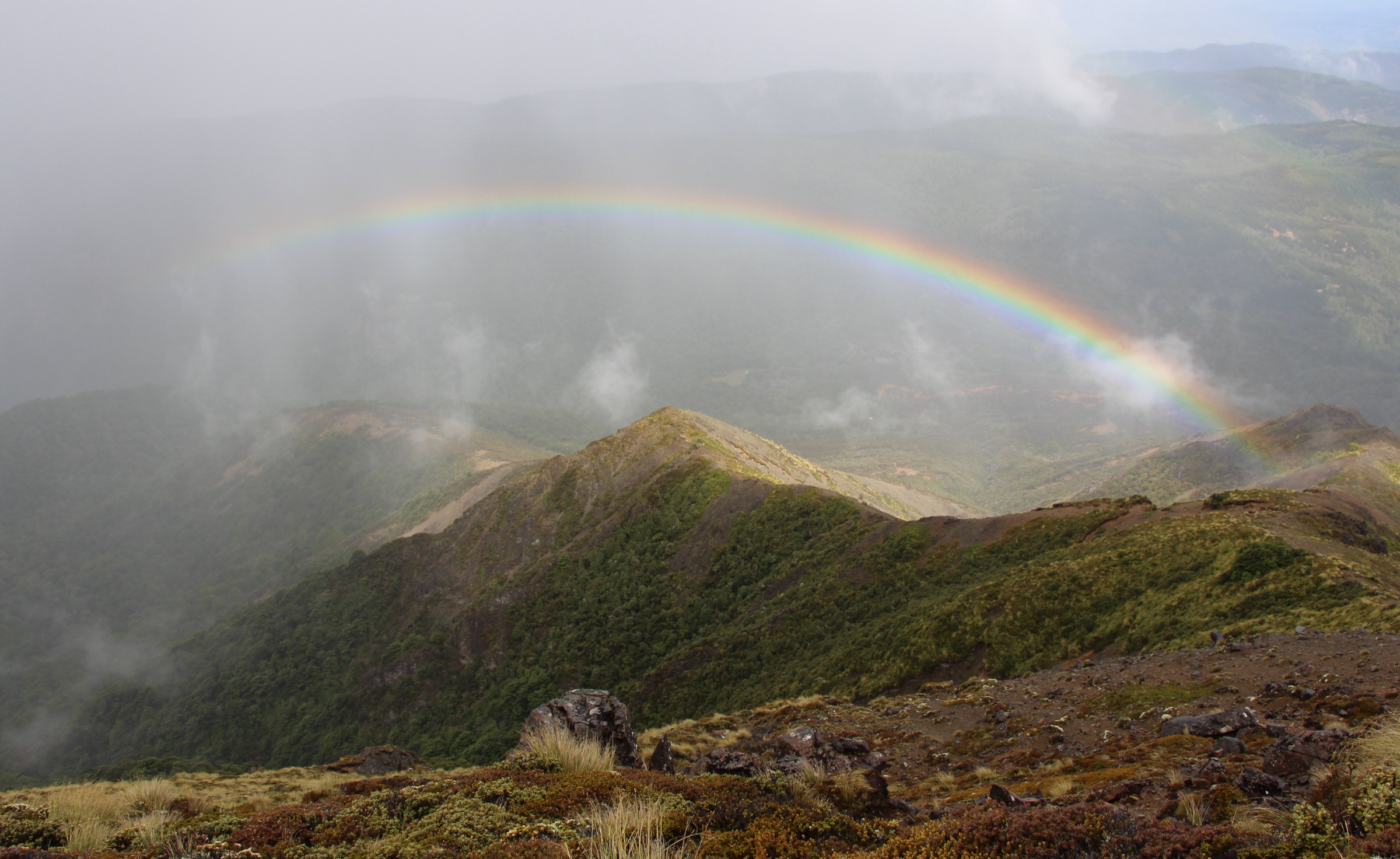 New Zealand — Central Kawekas: essential day-hikes