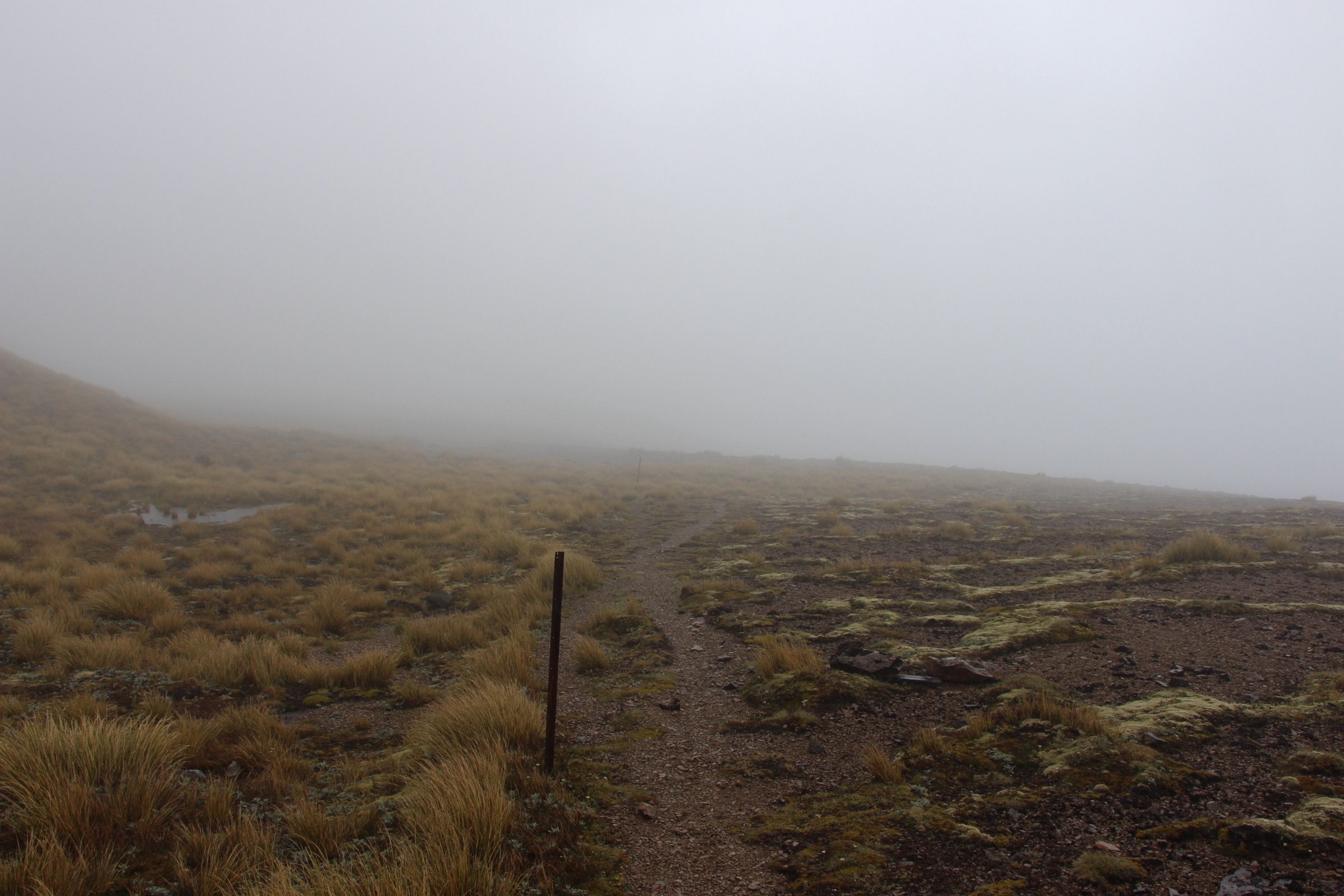 Central Kaweka Range landscape near Makahu Saddle, New Zealand