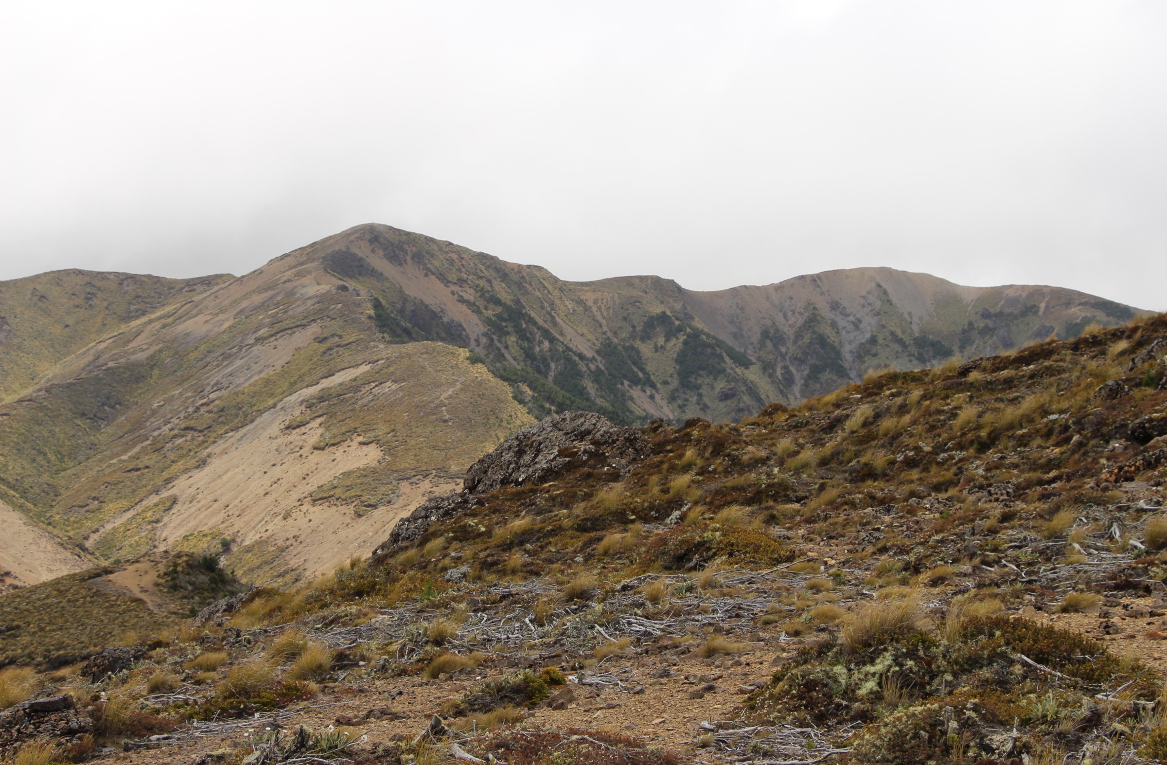 Open sub-alpine tops of the central Kaweka Range, New Zealand