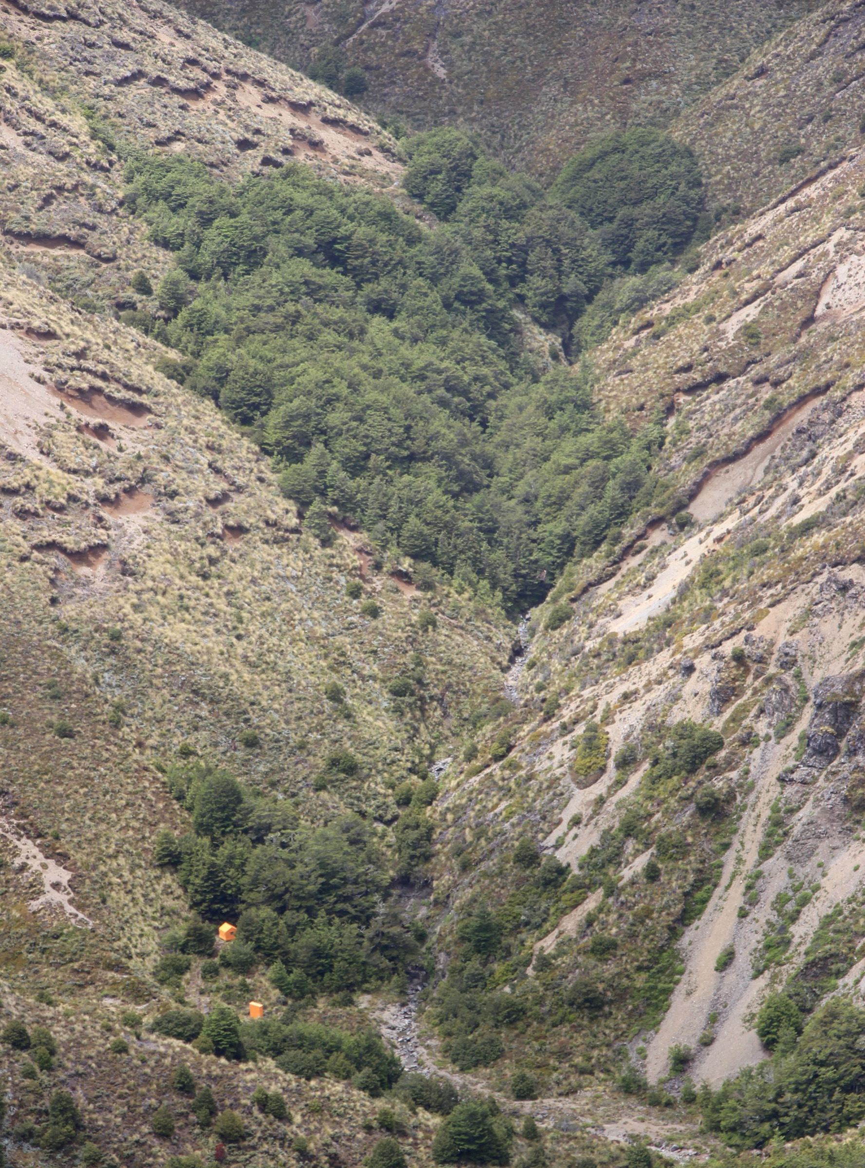 Studholme Saddle Hut in the central Kaweka Range, New Zealand