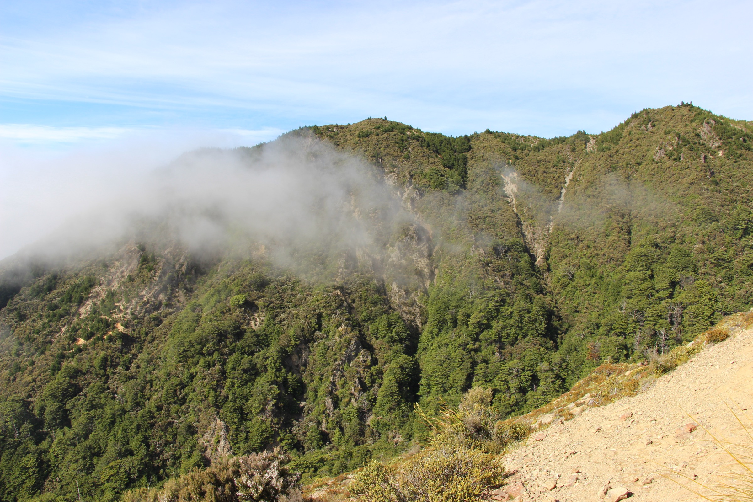 New Zealand — Makahu Saddle Area: essential day-hikes
