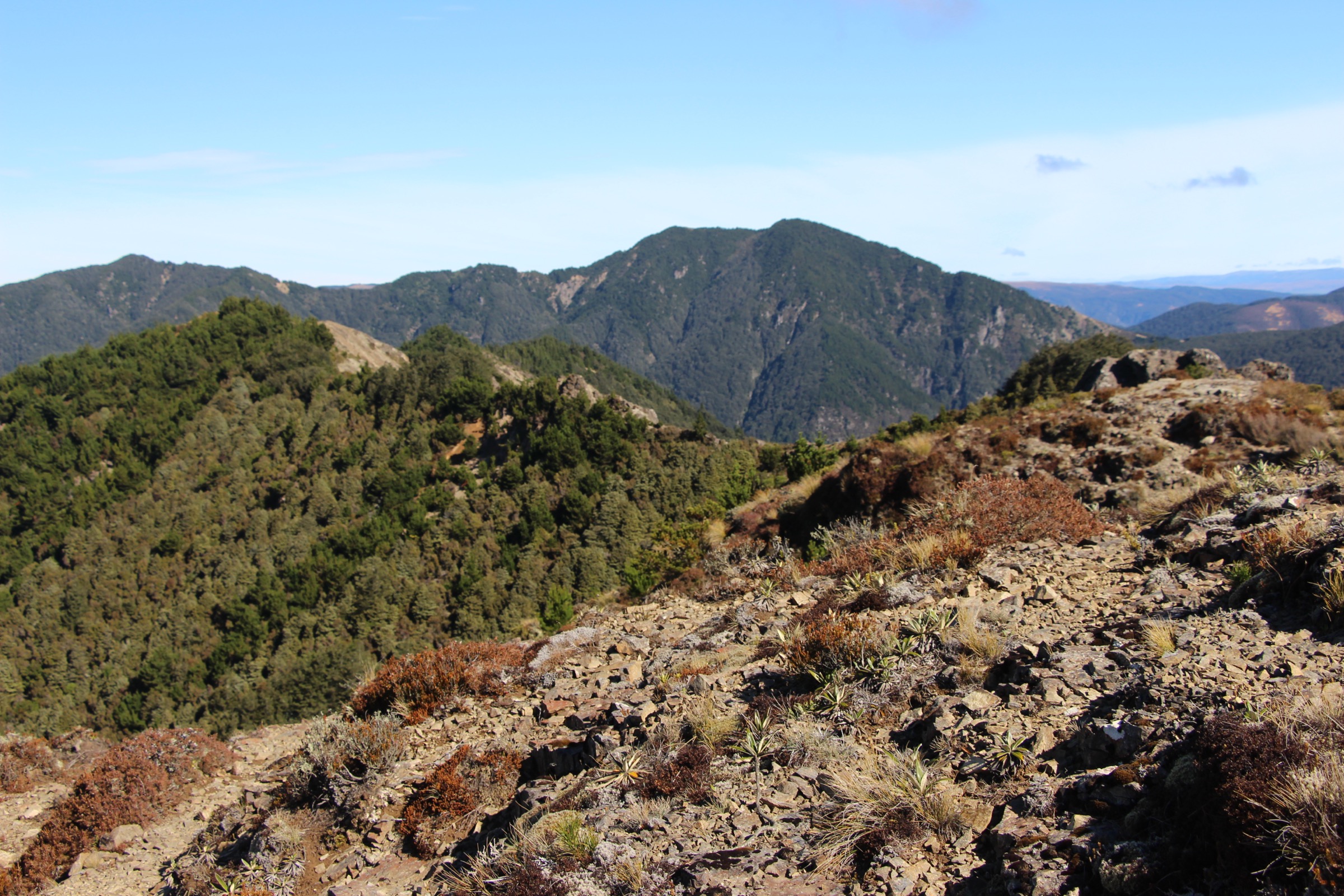 New Zealand — Southern Kaweka: essential day-hikes