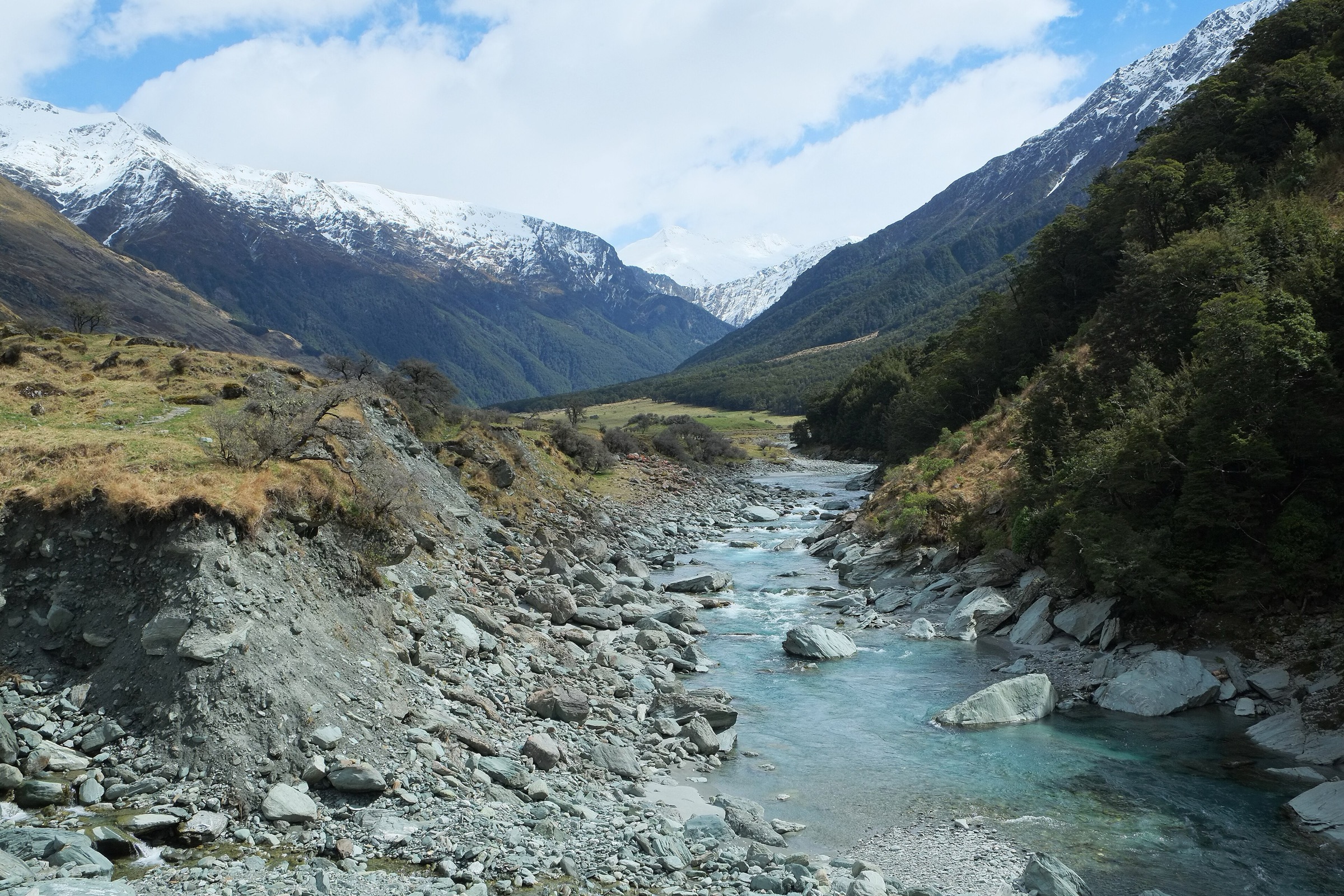The West Matukituki River seen upstream from the swingbridge, with beech-forested valley walls
