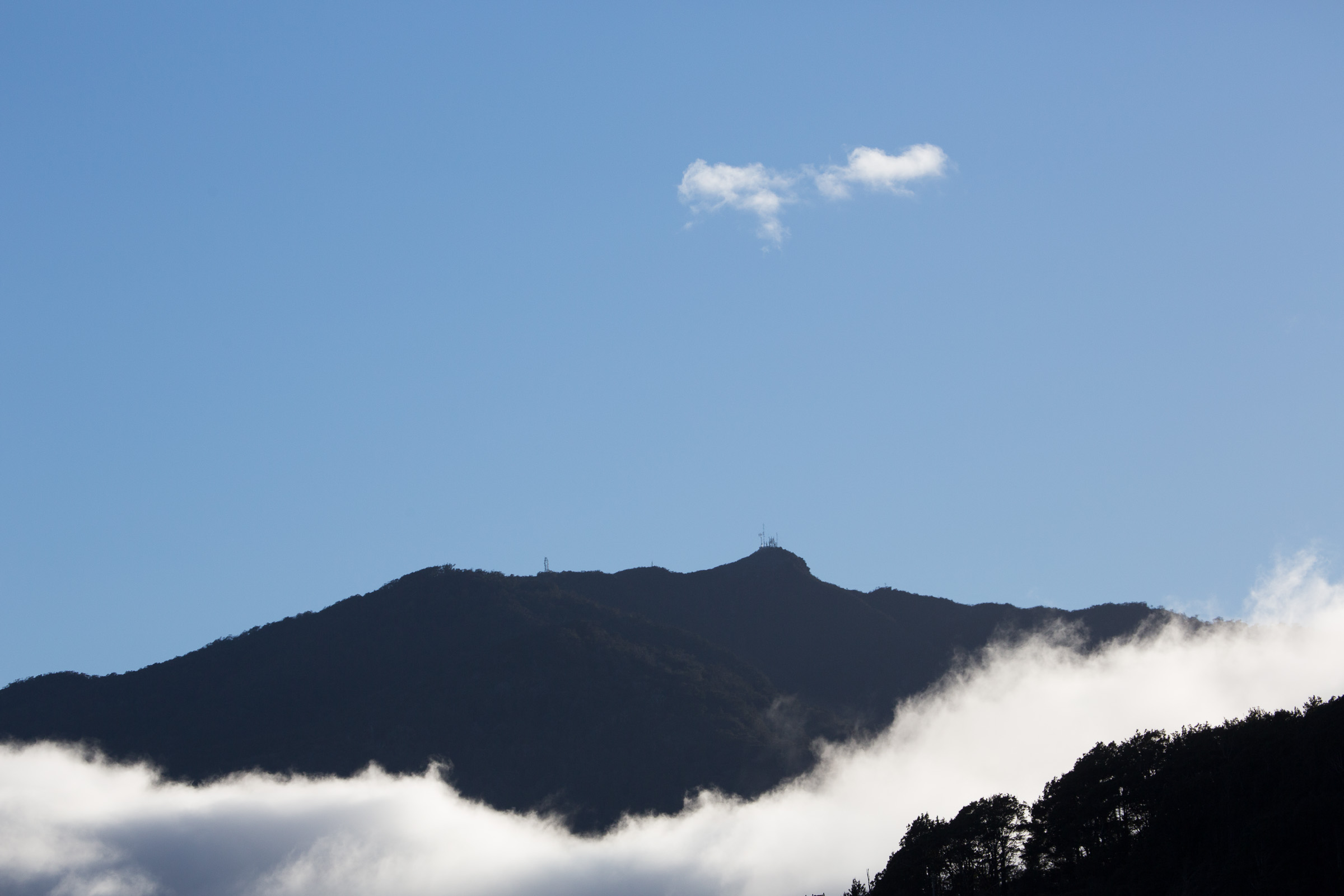 New Zealand — Southern Paparoa: essential day-hikes