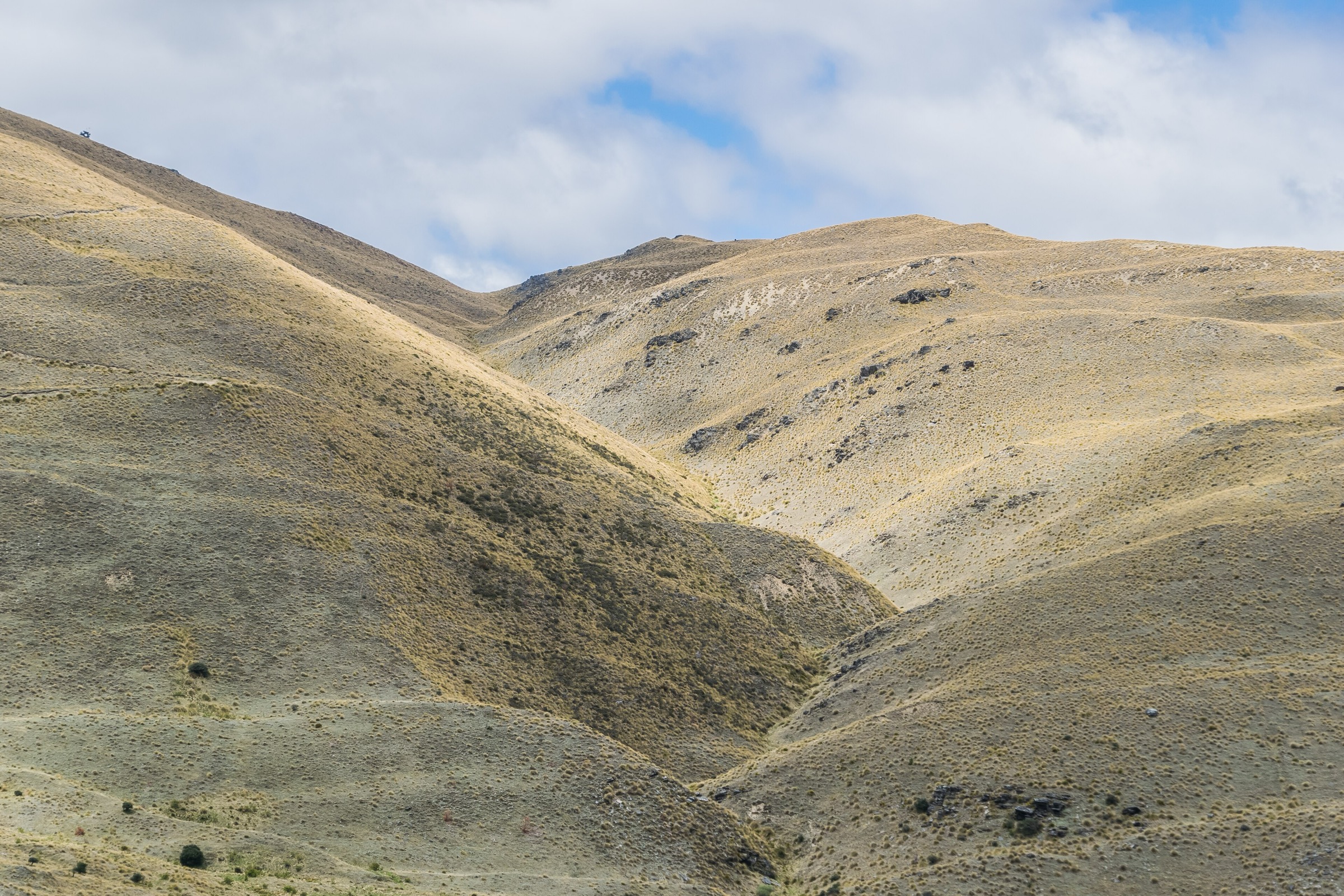 Open tussock tops of the Pisa Conservation Area in Central Otago