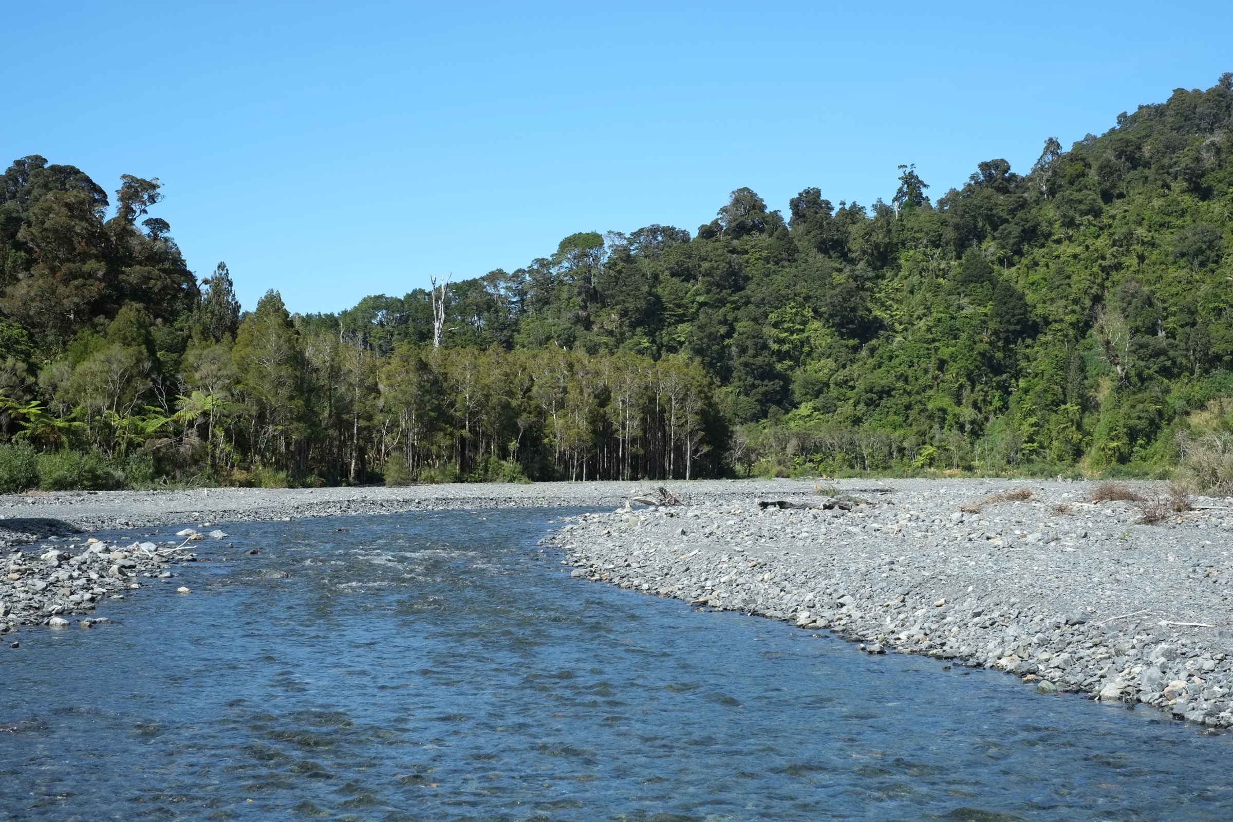 New Zealand — Remutaka Forest Park: essential day-hikes
