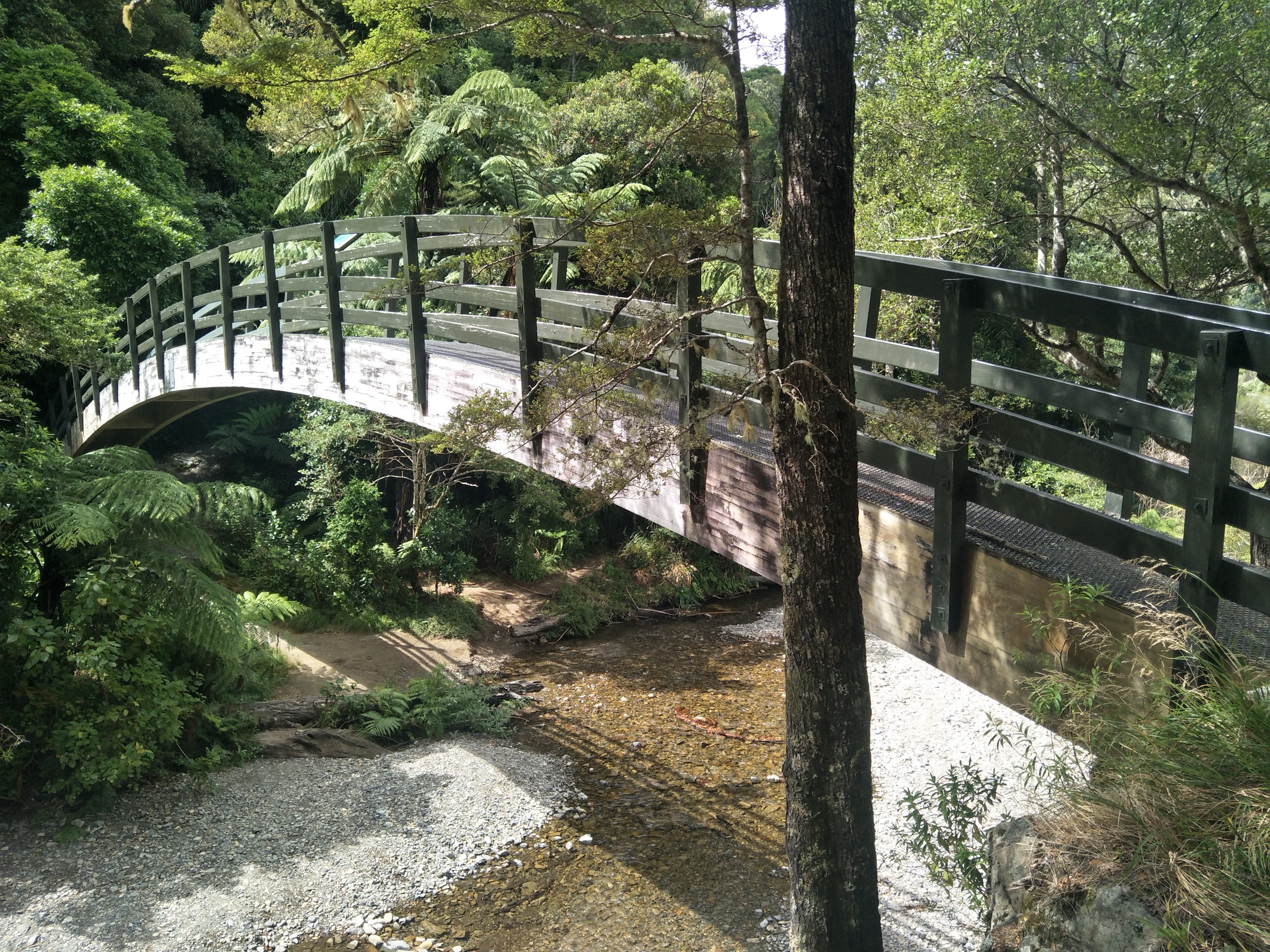 Footbridge over Turere Stream on the Orongorongo Track, Remutaka Forest Park