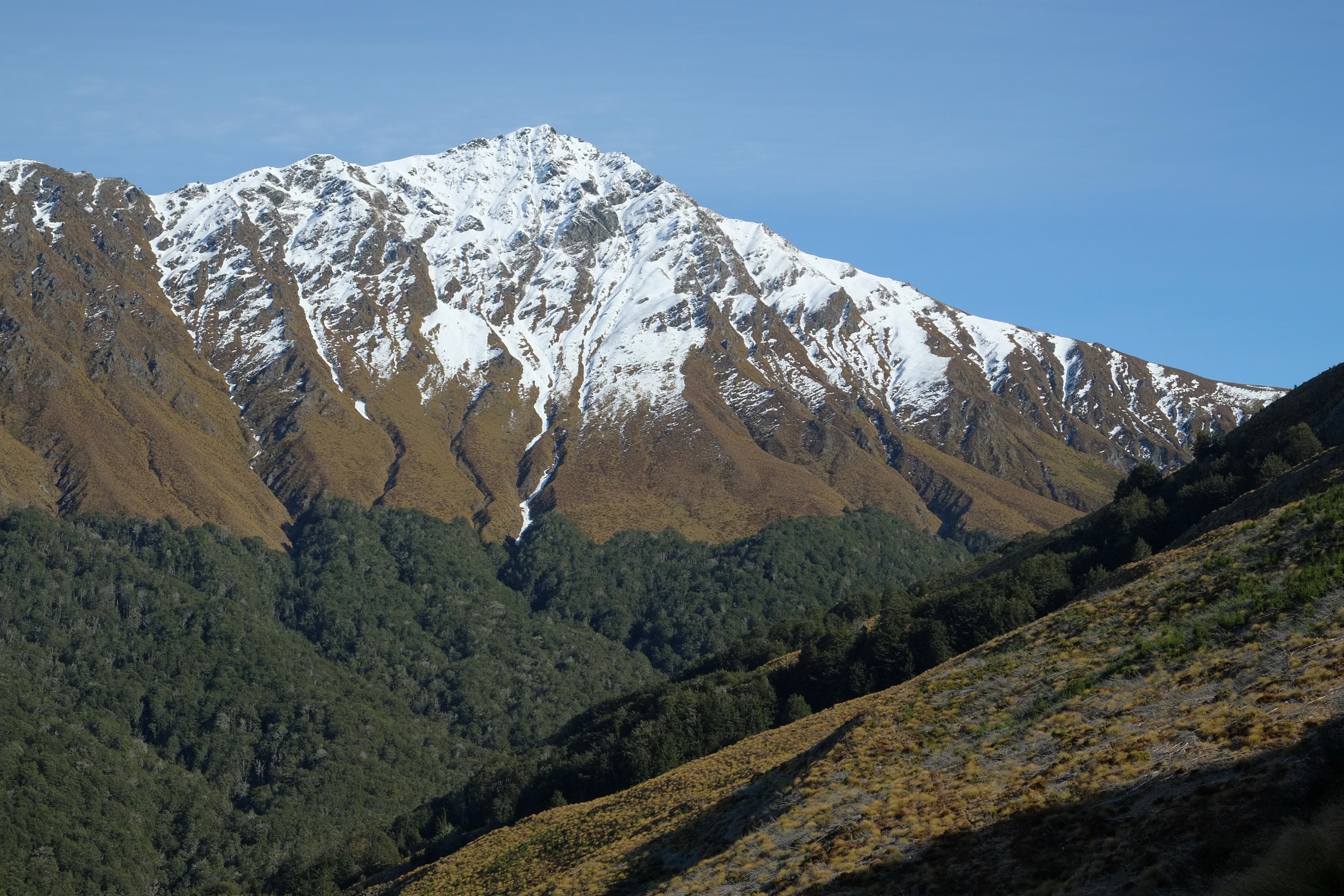 Snow-dusted Ben Lomond from near the beginning of the Ben Lomond track