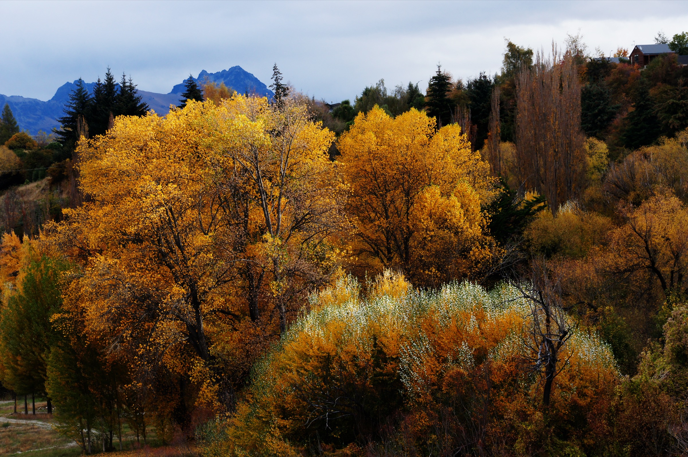 Gold on the Shotover River — the goldfield character of the Moonlight corridor