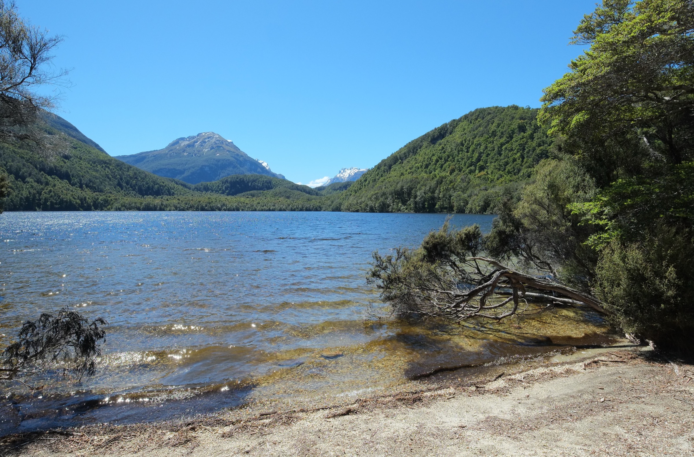 Small beach on the shore of Lake Sylvan, Mount Aspiring National Park, near Glenorchy