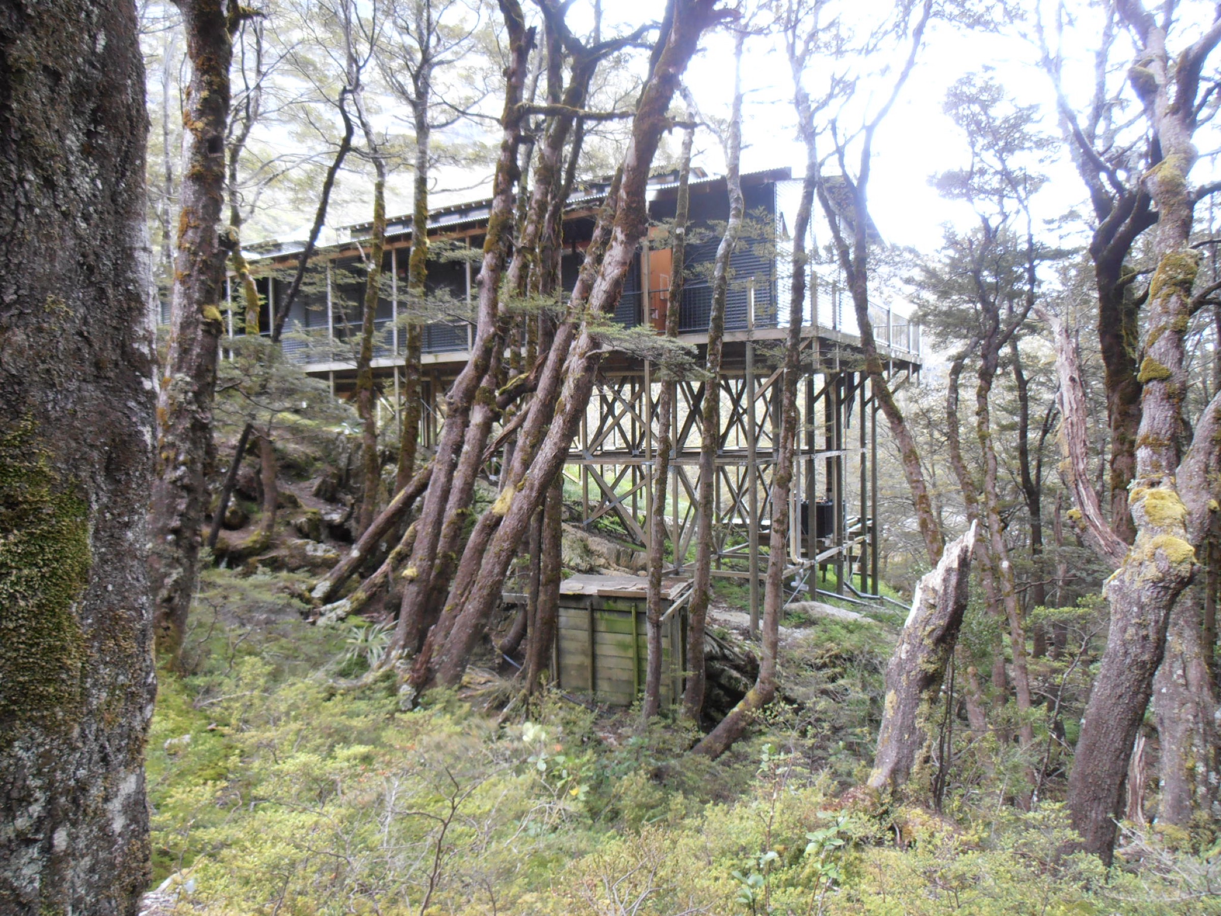 Routeburn Falls Hut near the bushline on the Routeburn Track, Mount Aspiring National Park
