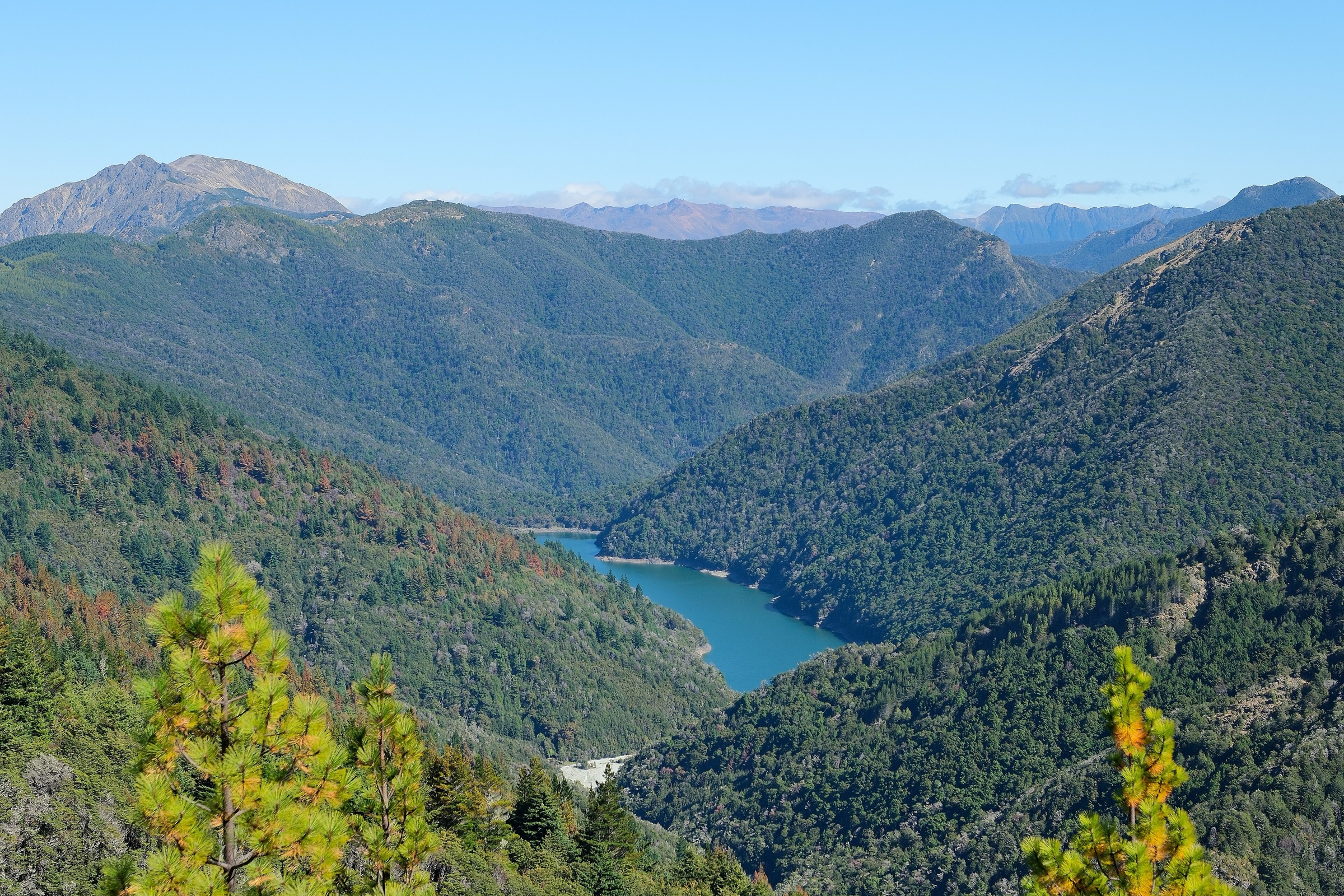 New Zealand — Northern Richmond Forest Park: essential day-hikes