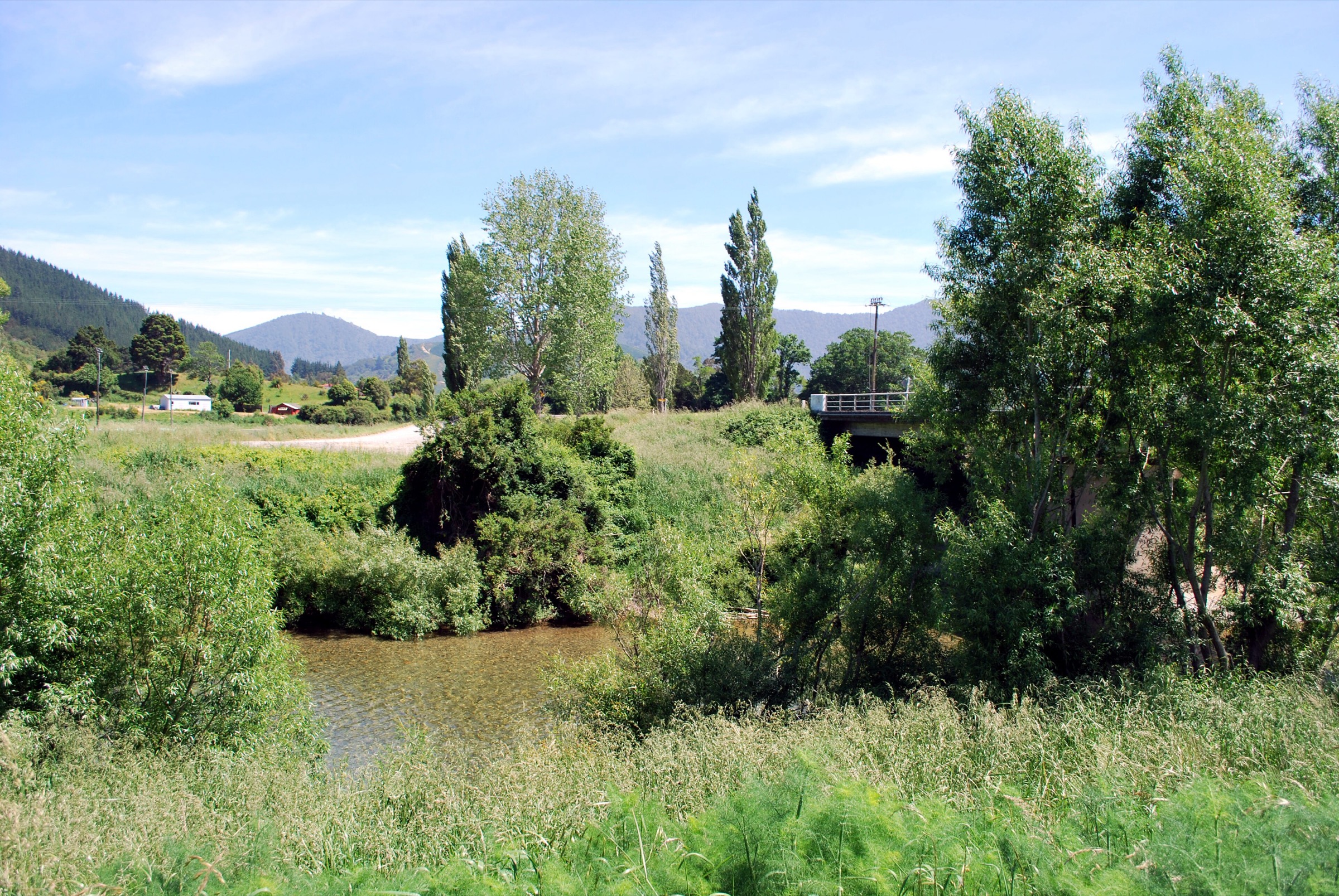 Wakamarina River near Canvastown, Marlborough, New Zealand
