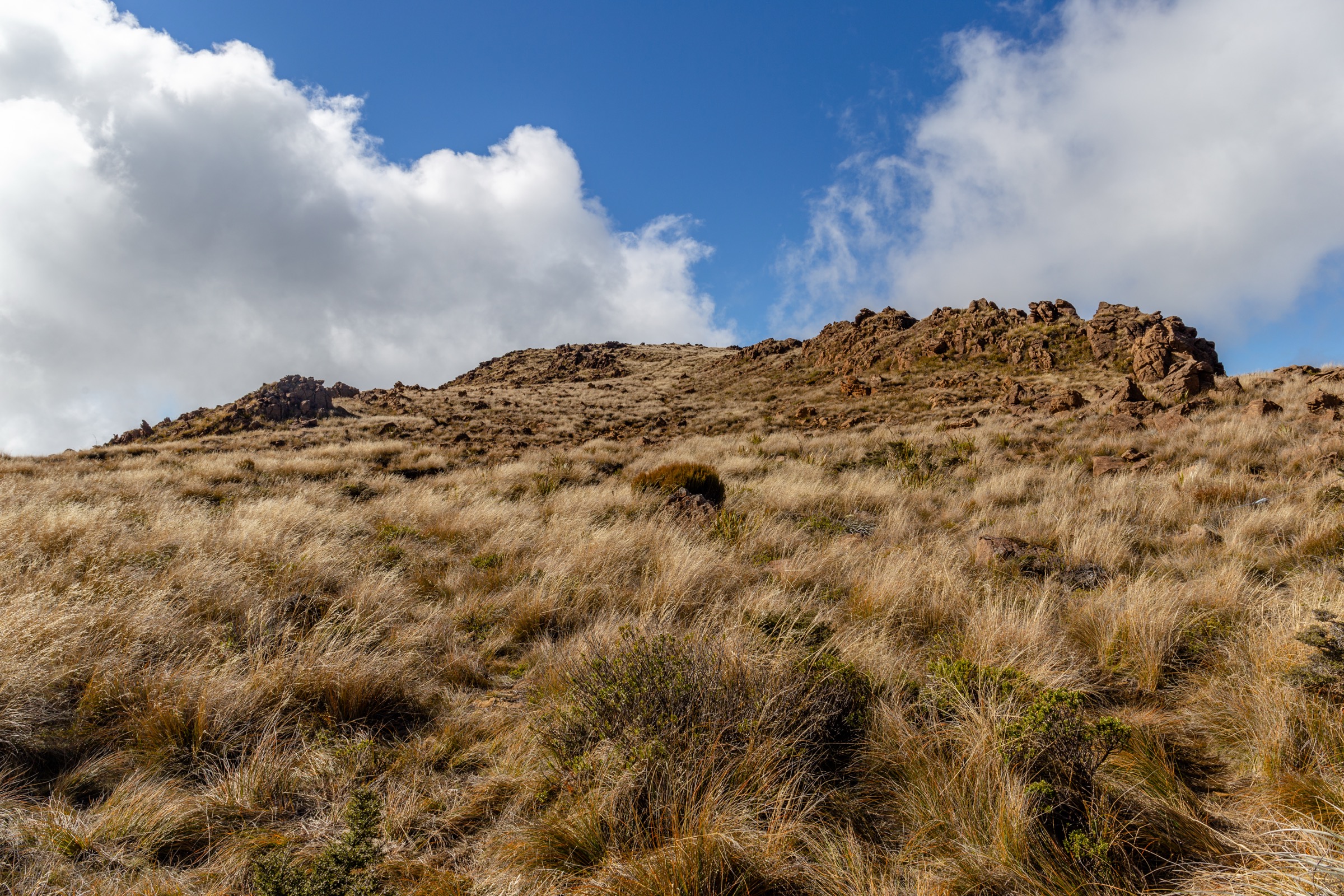 Dun Mountain and the Bryant Range — ultramafic high country of the Dun Mountain ophiolite belt, New Zealand