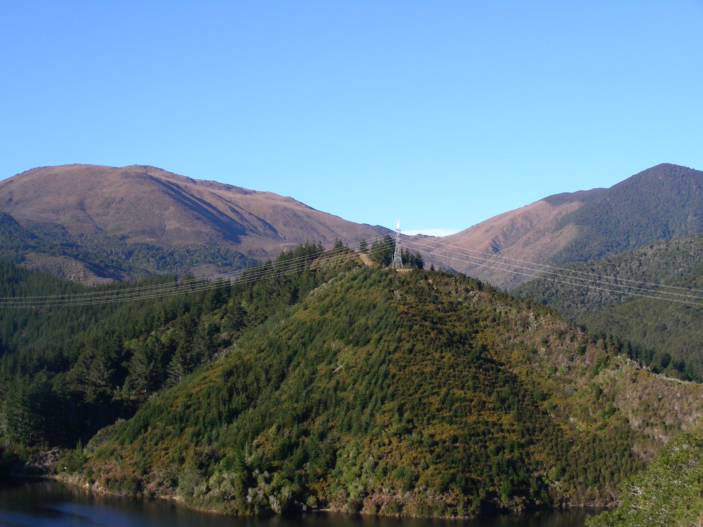 Dun Mountain from the upper Maitai Valley, showing the ultramafic vegetation change of the Dun Mountain Ophiolite Belt, New Zealand