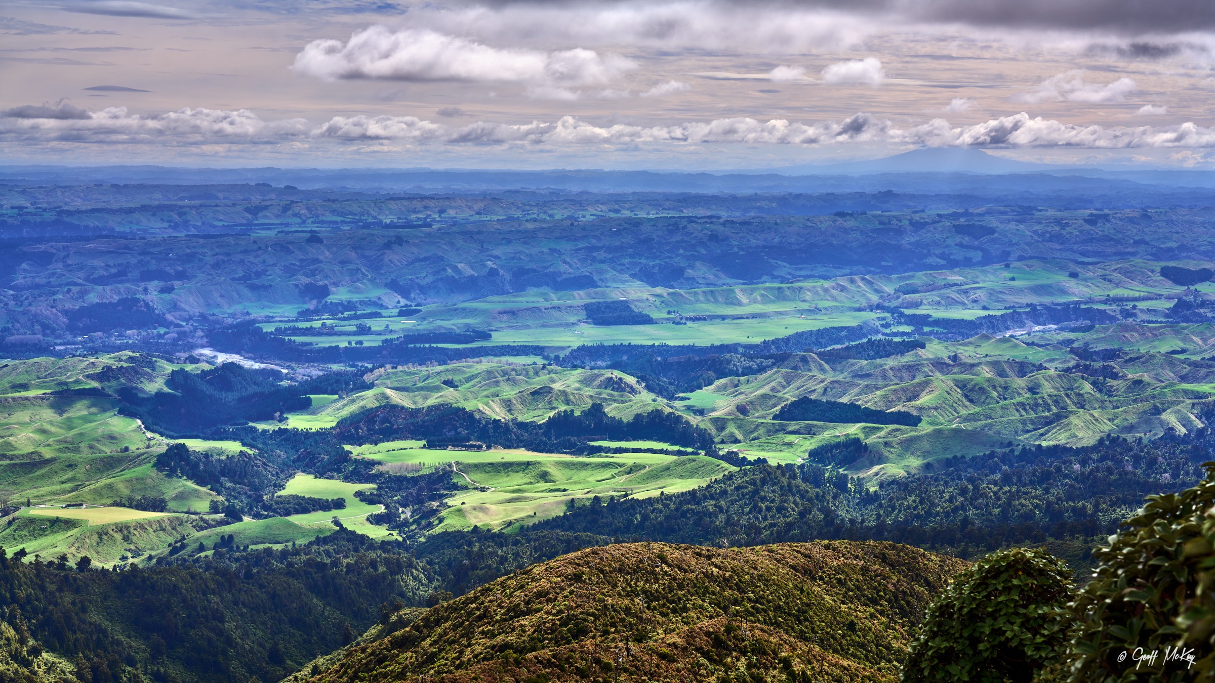 New Zealand — Central Ruahines: five essential day hikes