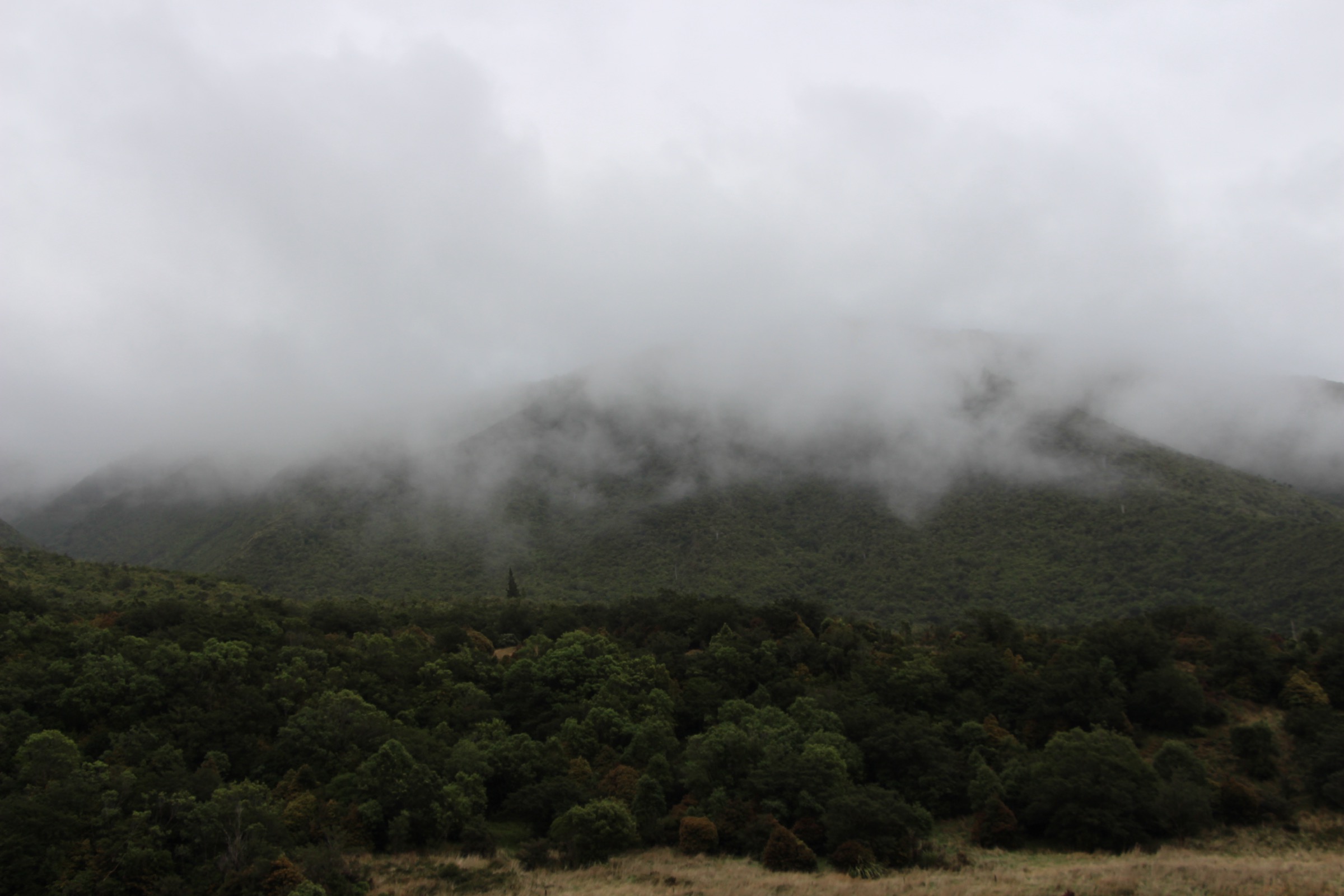 New Zealand — Eastern Ruahines: Essential Day-Hikes