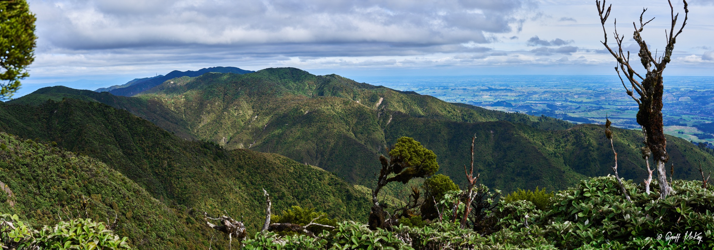 Ruahine Forest Park context view across the eastern flank
